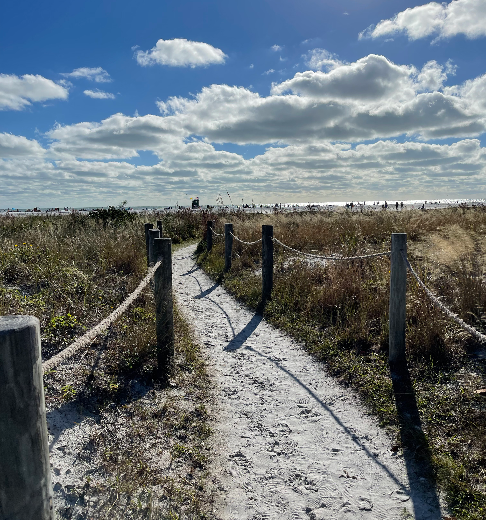 Sarasota, FL 