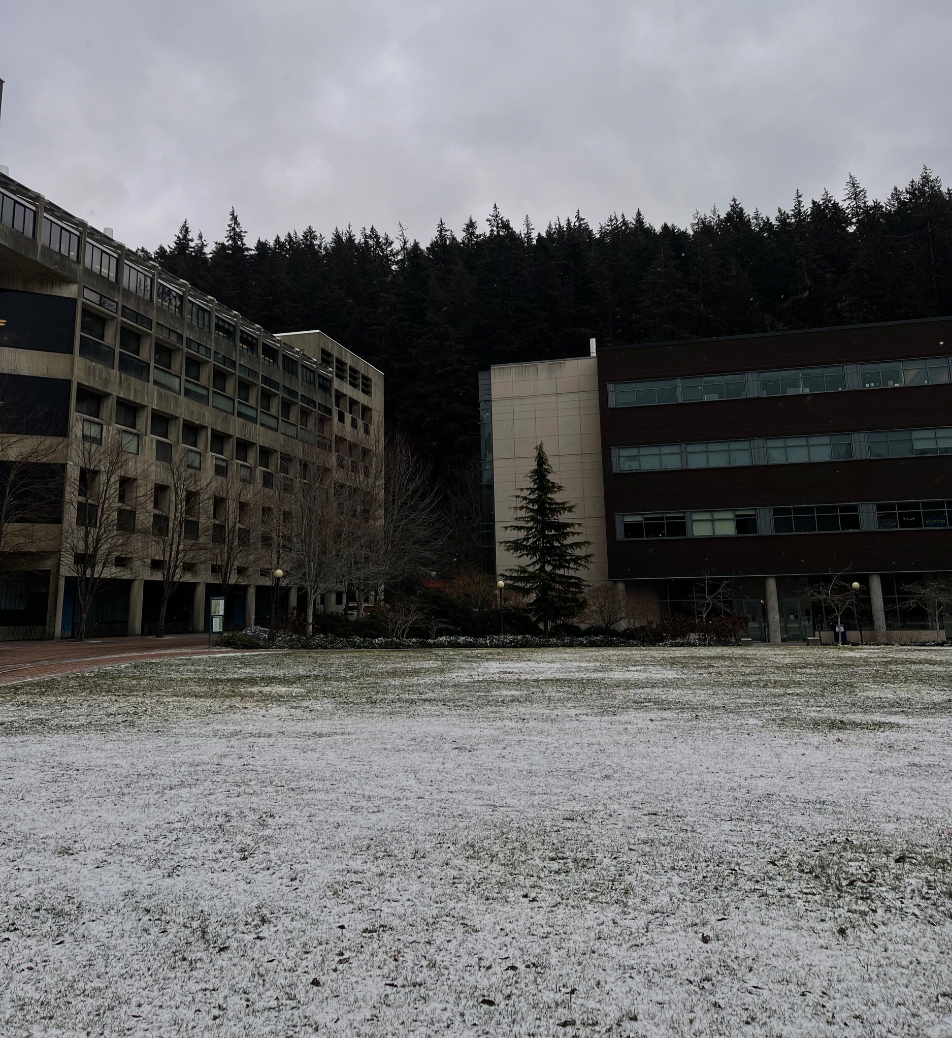 Bellingham, WA