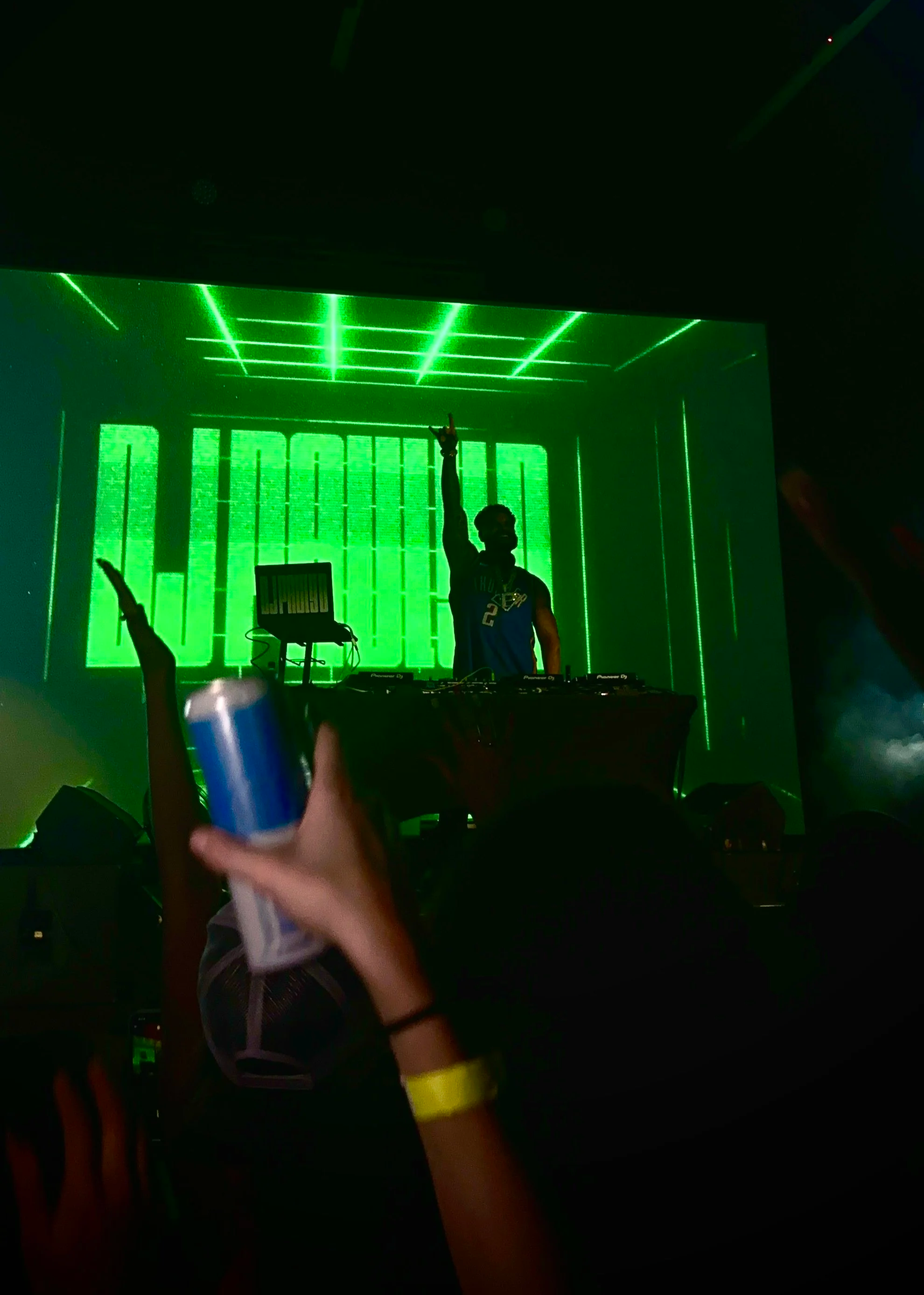 DJ Pauly D 