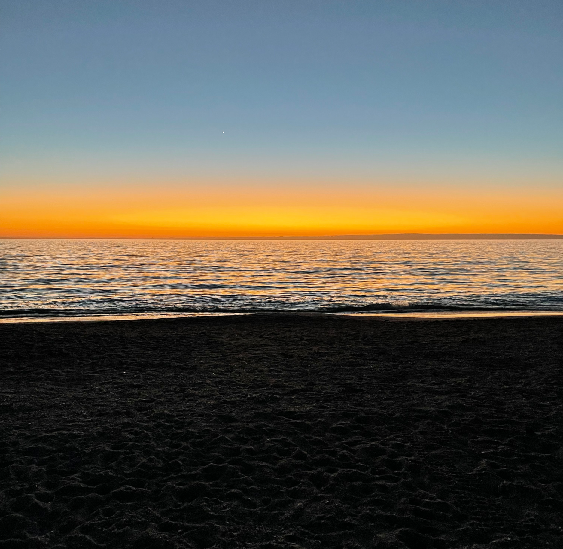 Sarasota, FL