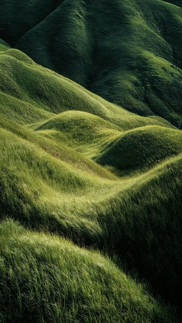 Green rolling hills covered with grass under a softly lit sky.