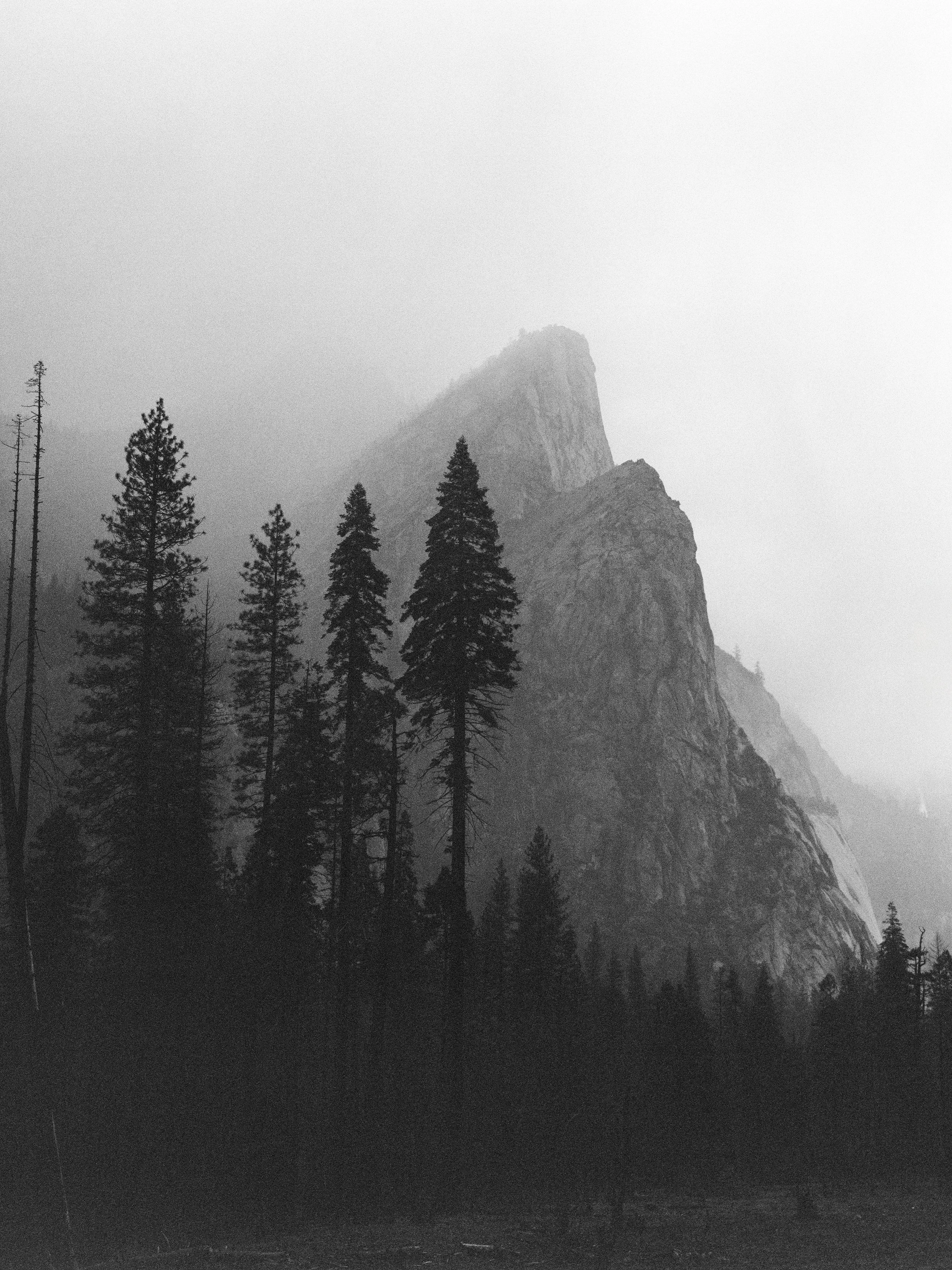 Artist Reception: Photography of Vince Bruinsma