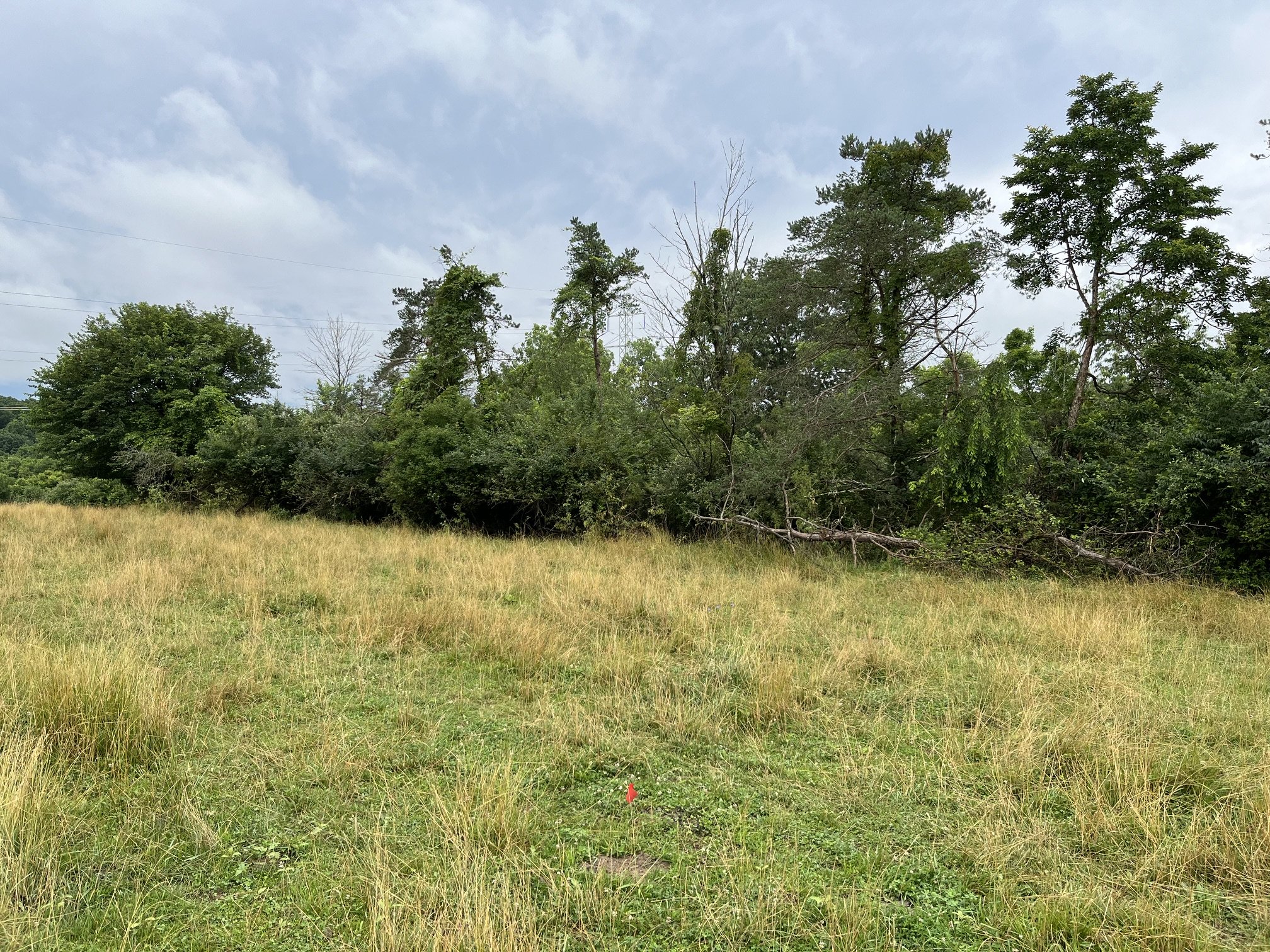 schroders land rescue land cleanup