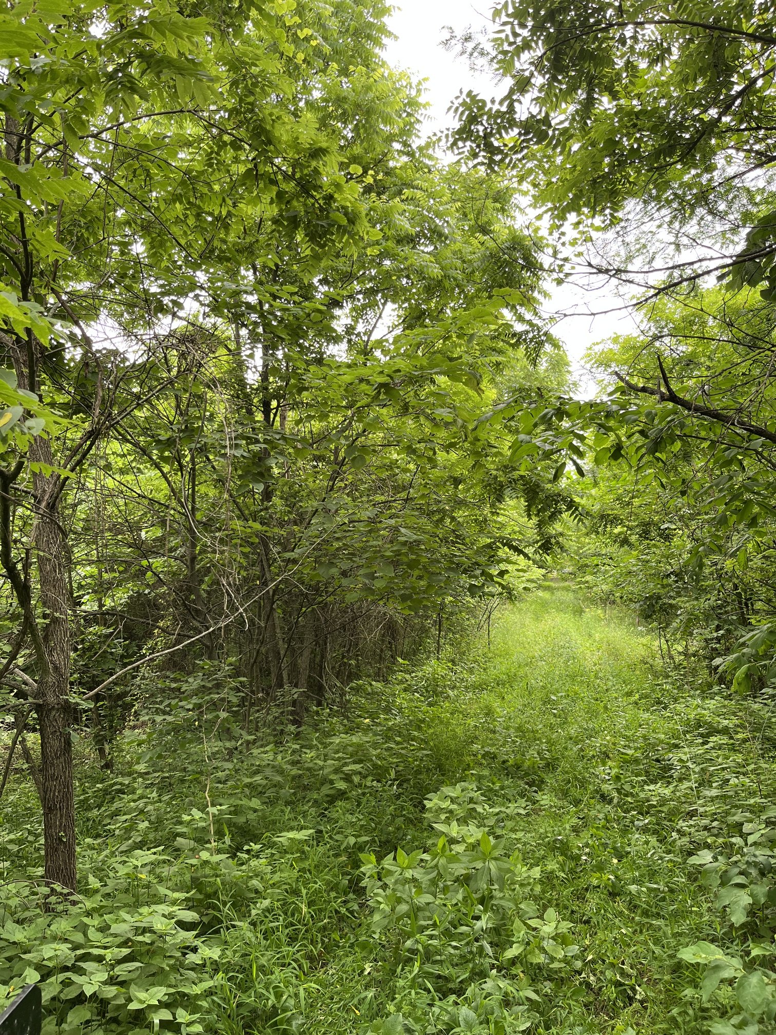 Schroders Land Rescue LLC property cleanup