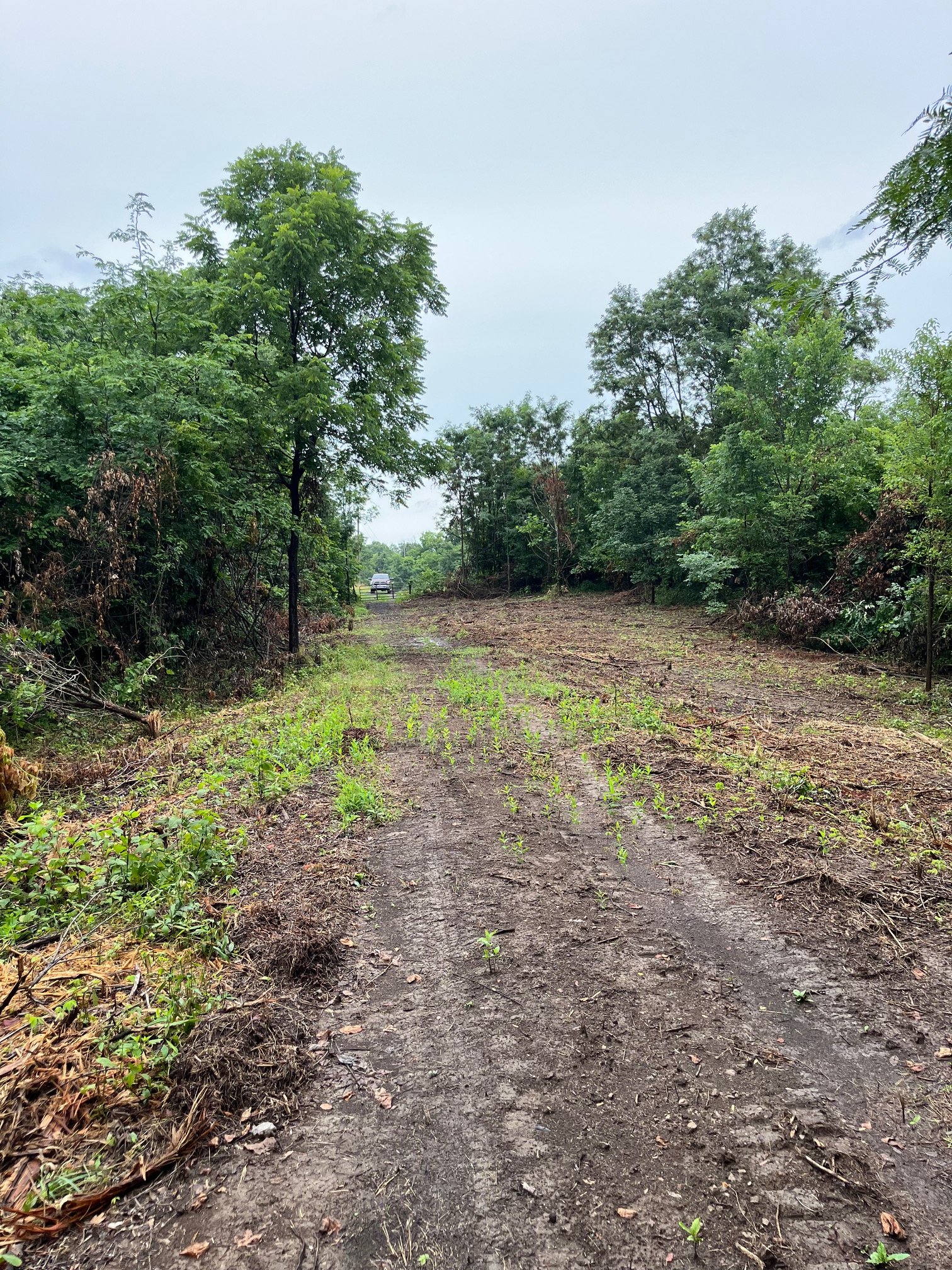 Schroder's Land Rescue LLC portfolio