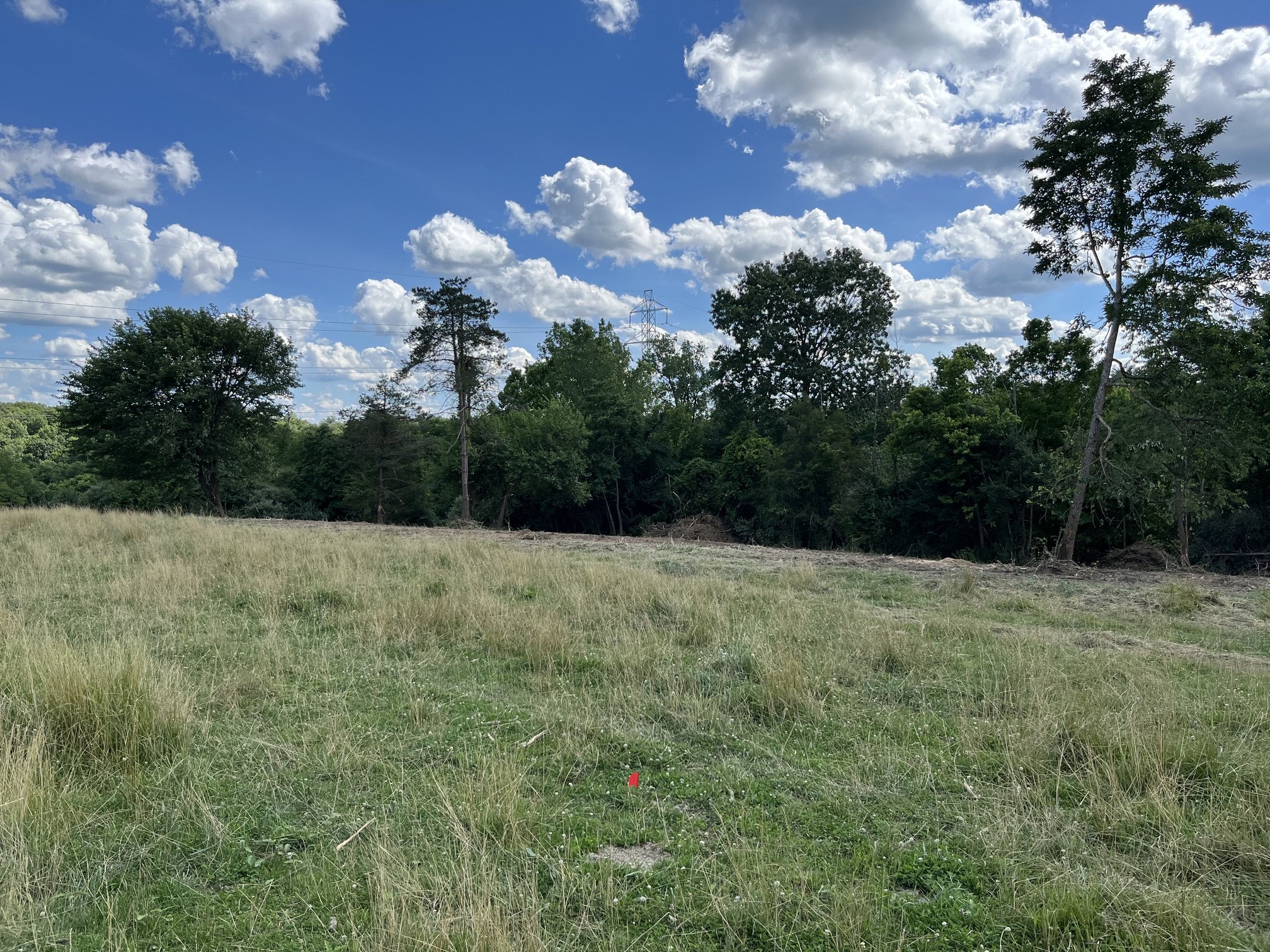 schroder's  land rescue llc land clearing