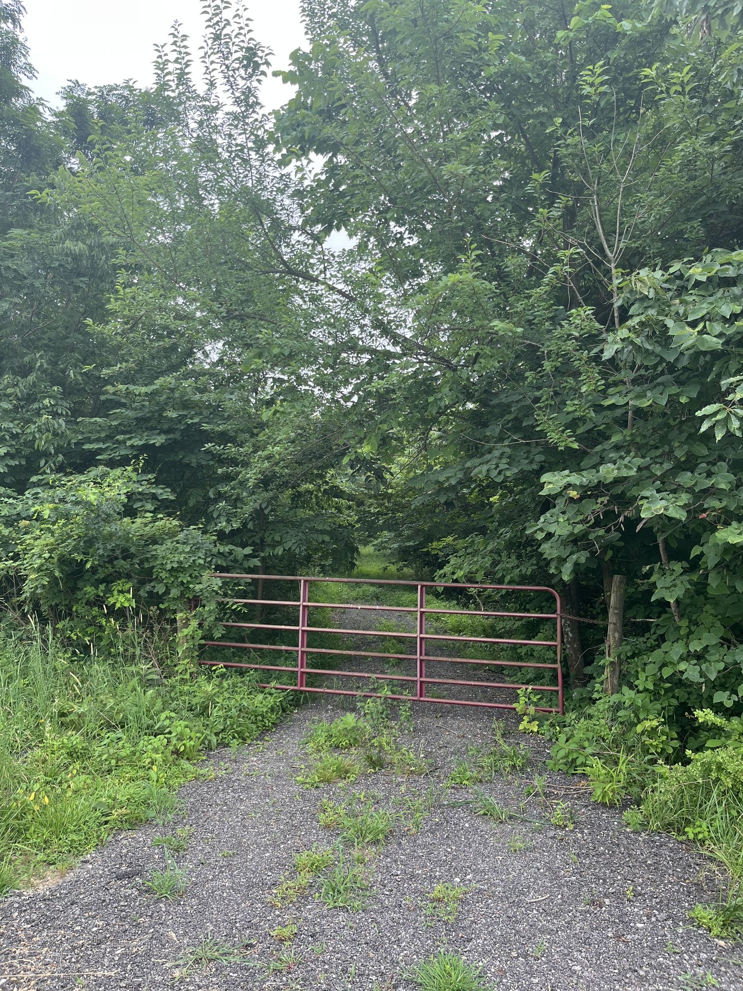 schroders land rescue LLC trail clearing