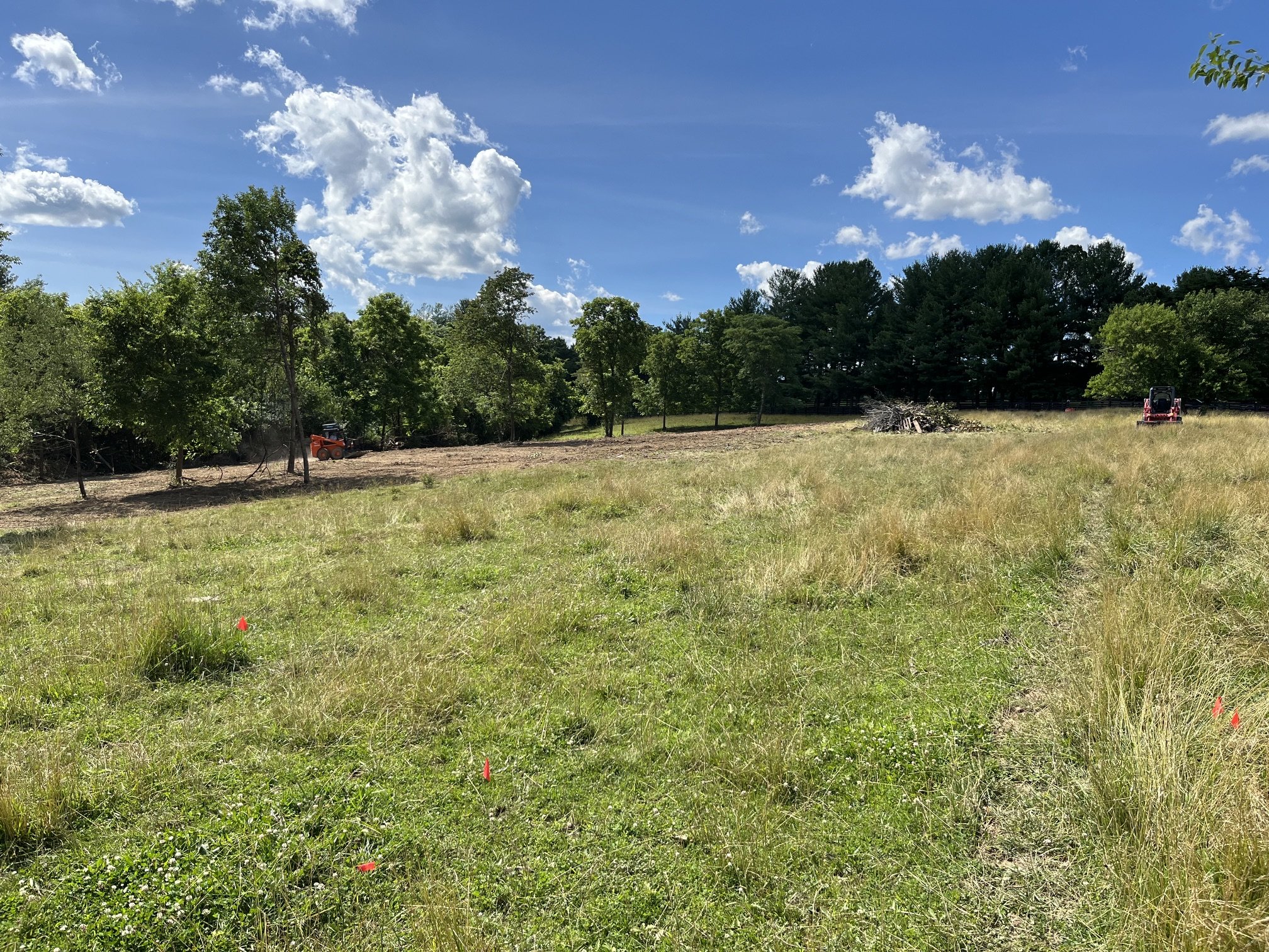 schroders land rescue forestry mulching