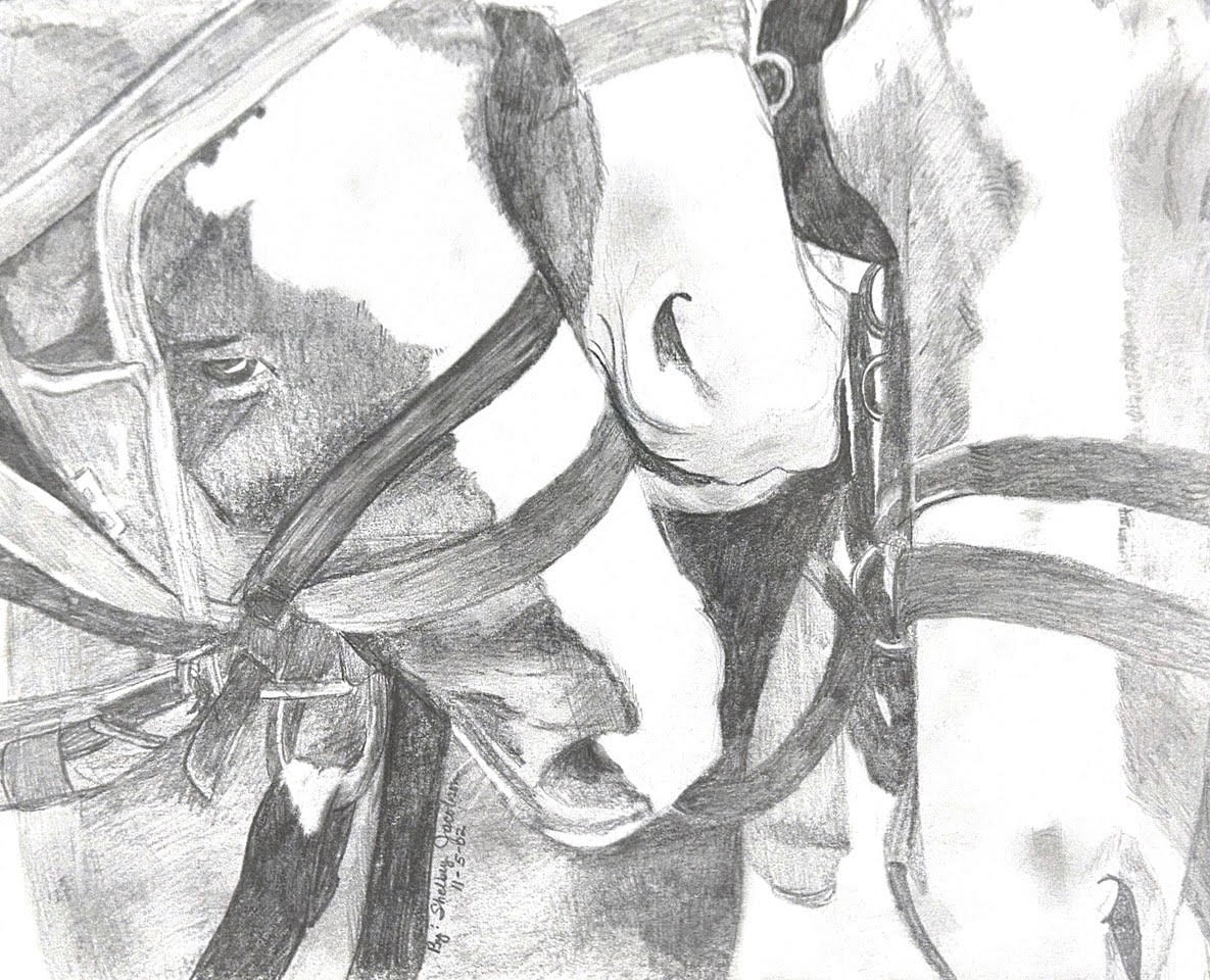 Pencil sketch of a horse wearing a bridle with a person visible through the bridle's metal fittings.