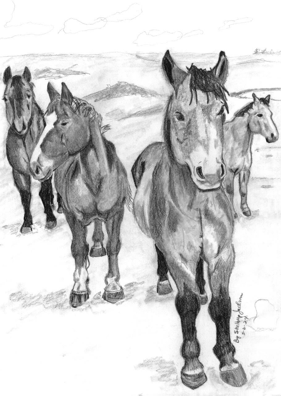 A pencil sketch of five horses standing on a grassy plain with hills and clouds in the background.
