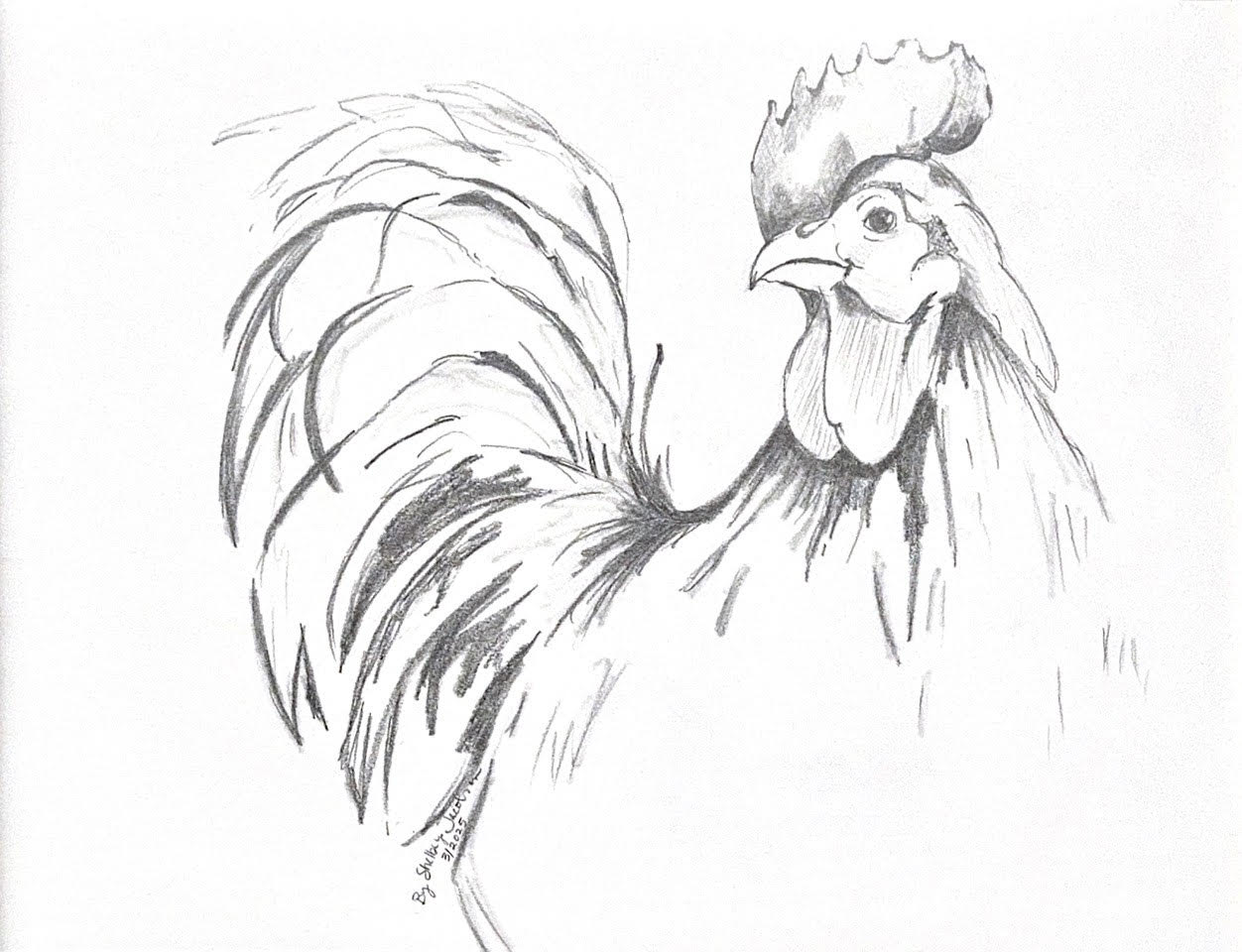 Hand-drawn sketch of a rooster with detailed feathers, comb, and beak, facing to the right.