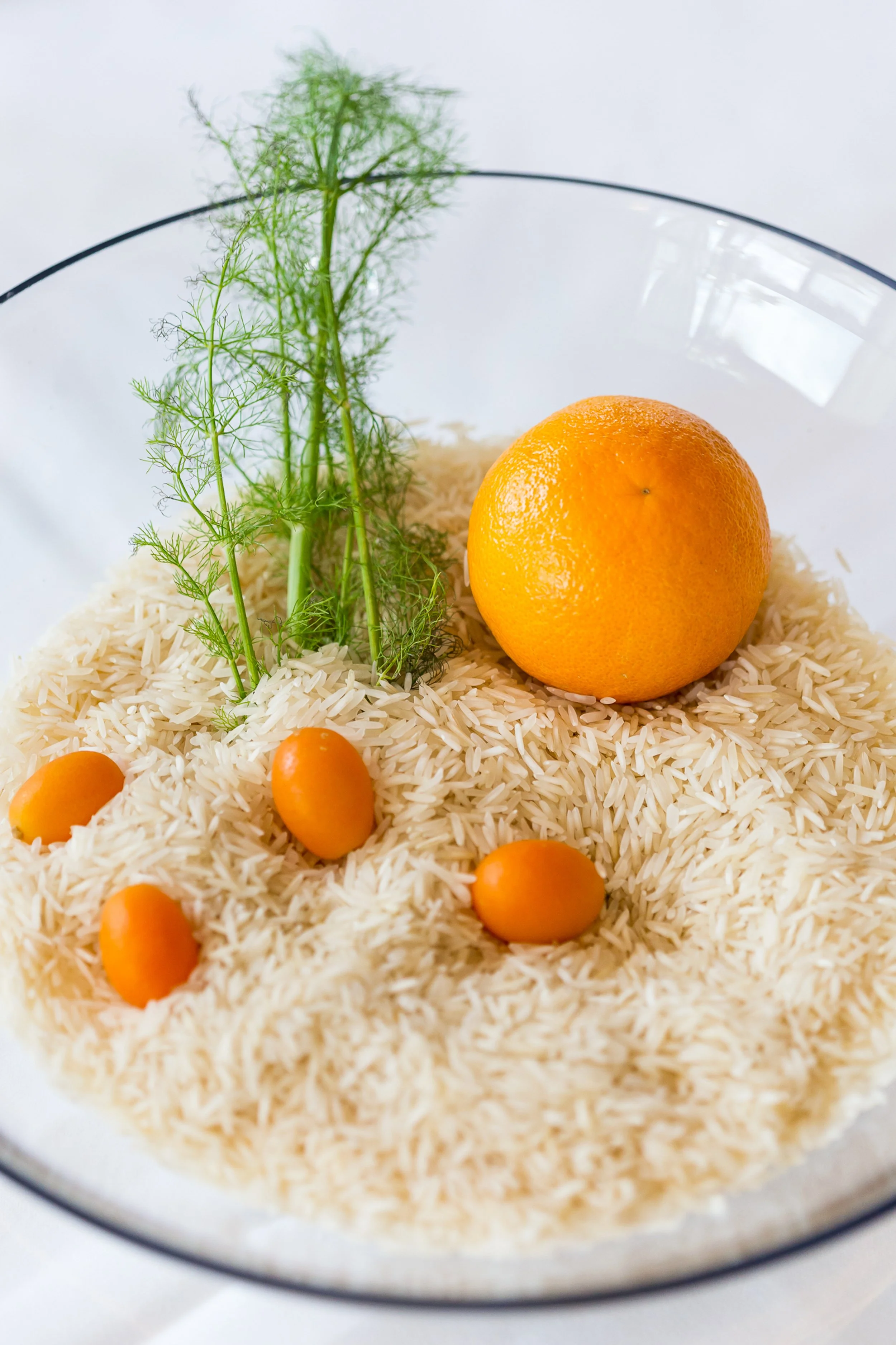 Crudo-Gary-Kasl-SandKasl-Imaging-4.jpg