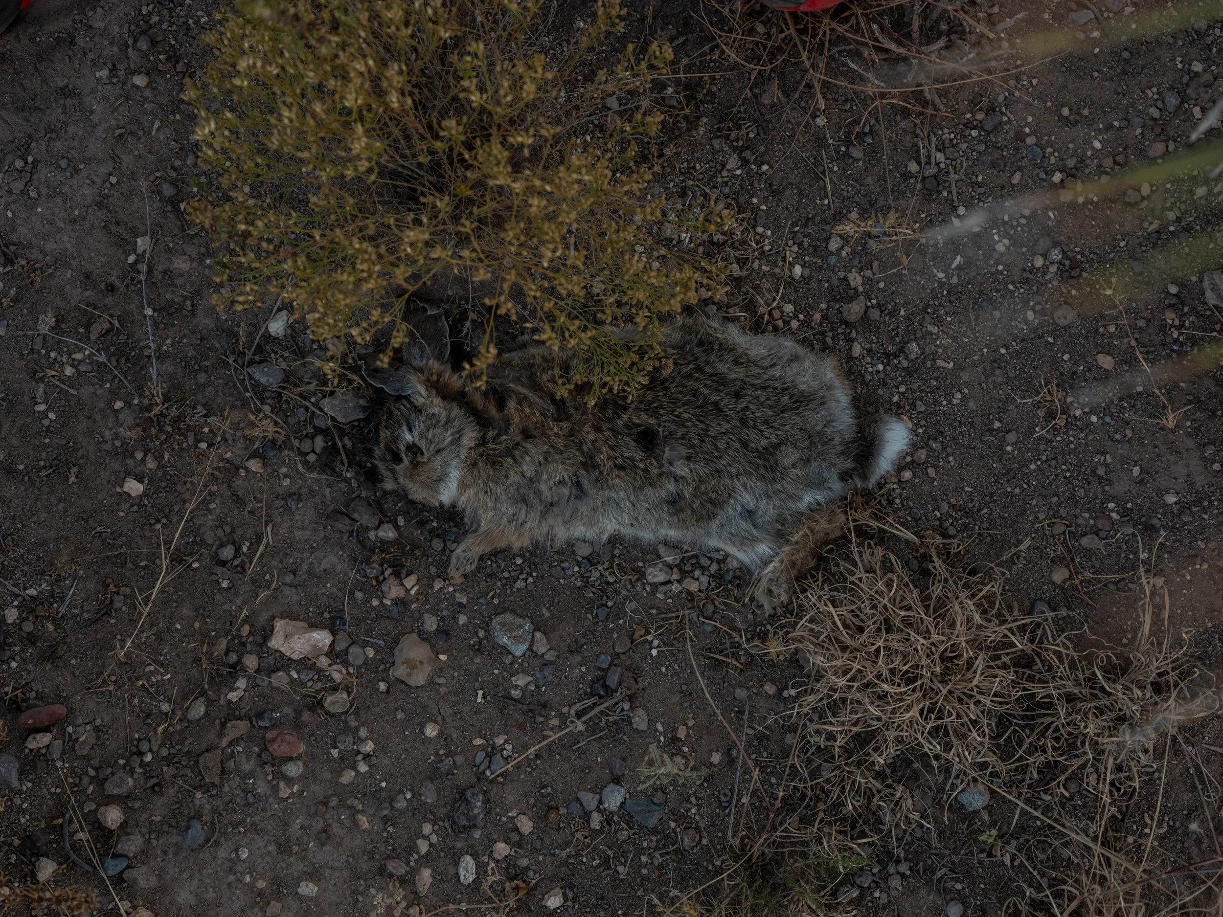 Marfa-Workshop-Gary-Kasl-SandKasl-Imaging-55.jpg