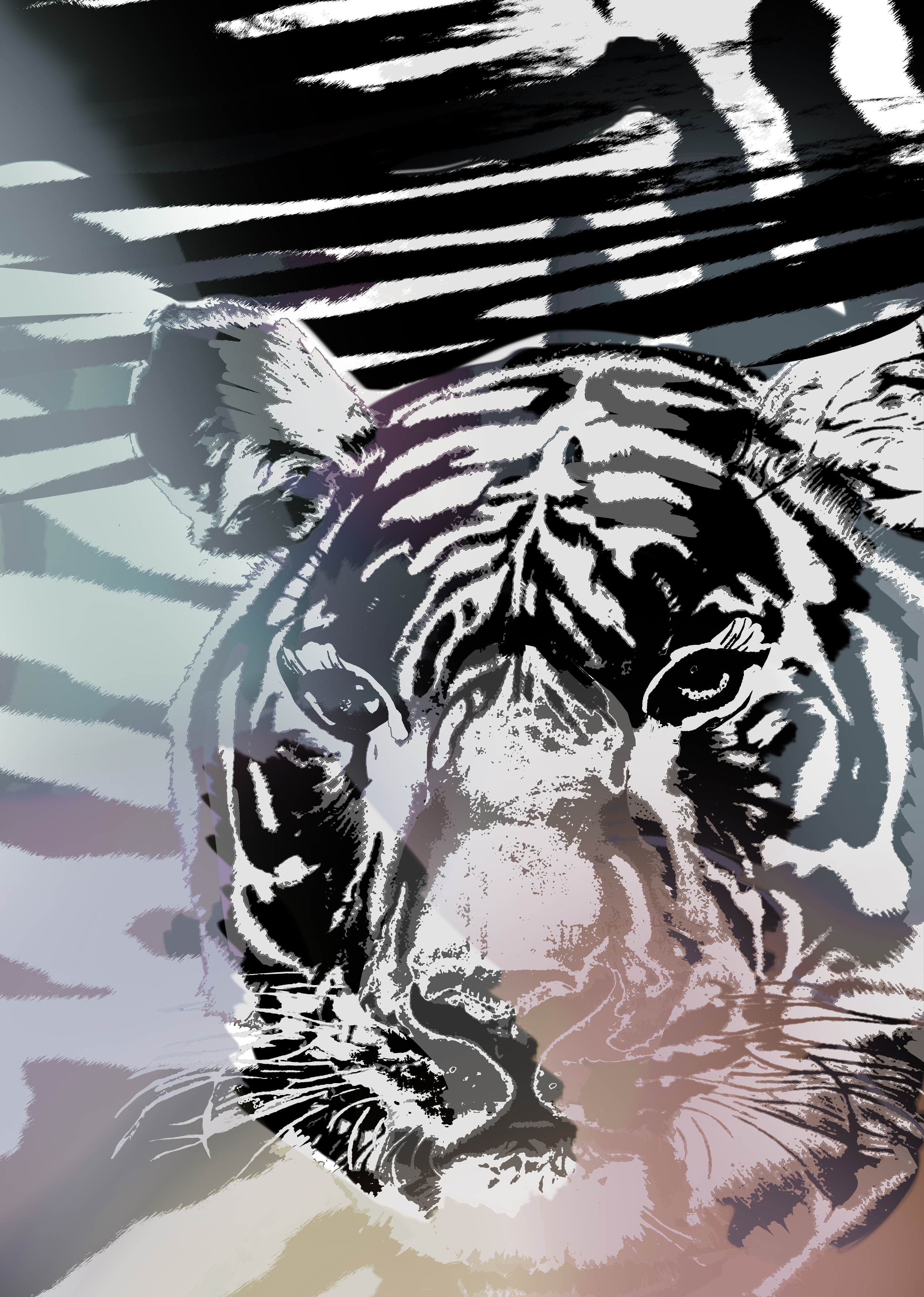 Tiger 4 colors.jpg