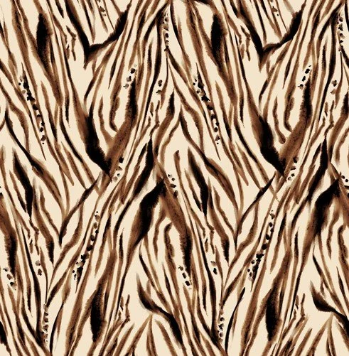 zebra.jpg