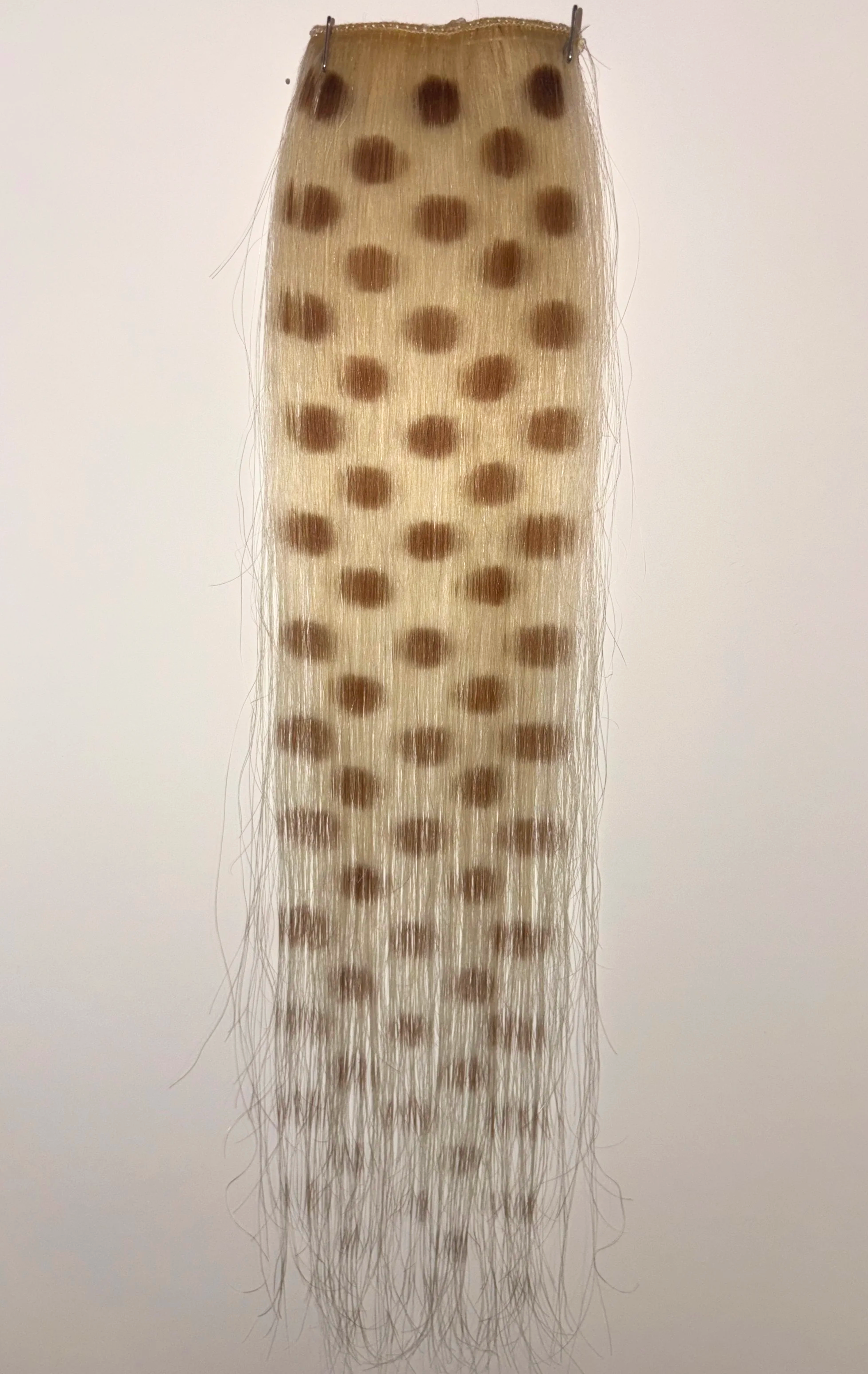 IMG_4800.png