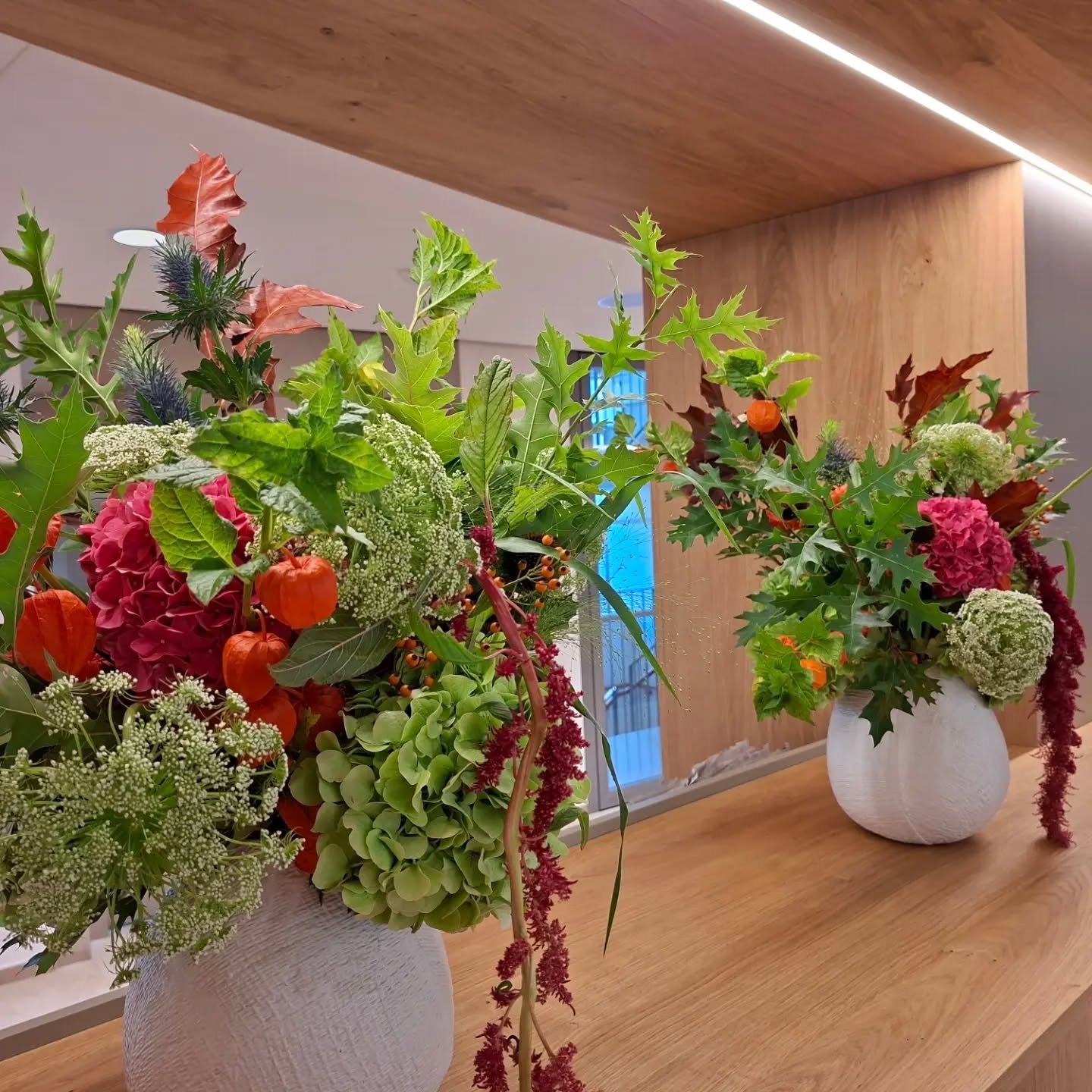 S e p t e m b e r 🌿

Location: @stiftung.obesunne 

Blumen: @bluemeatelierkuemin 
.
.
#physalisliebe #vasen #keramik #floristin #floristenh&auml;nde