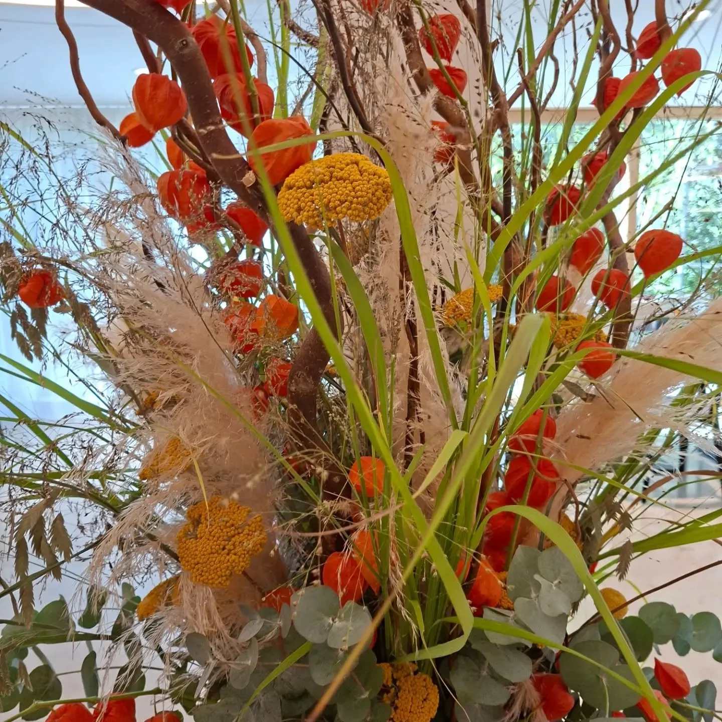 O b e s u n n e  P l a u s c h 🌿

Location: @stiftung.obesunne 

Blumen: @bluemeatelierkuemin 

Danke f&uuml;r den wundervollen Auftrag und das Vertrauen!

#blumenaufdemtisch #blumen ##bestellung #physalisliebe