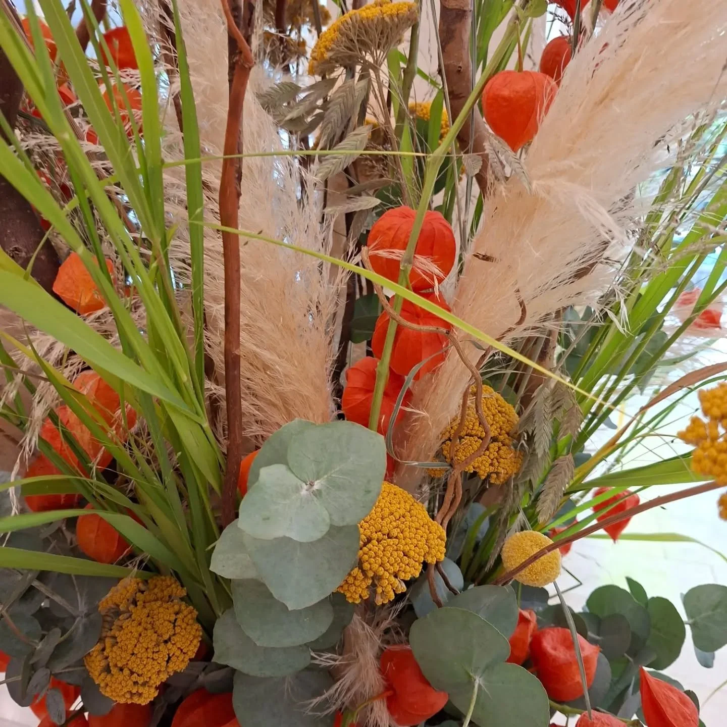 O b e s u n n e  Pl a u s c h 🌿

Location: @stiftung.obesunne

Blumen: @bluemeatelierkuemin

#spass #zusammenkommen #unterhaltung #altersheim #arlesheim