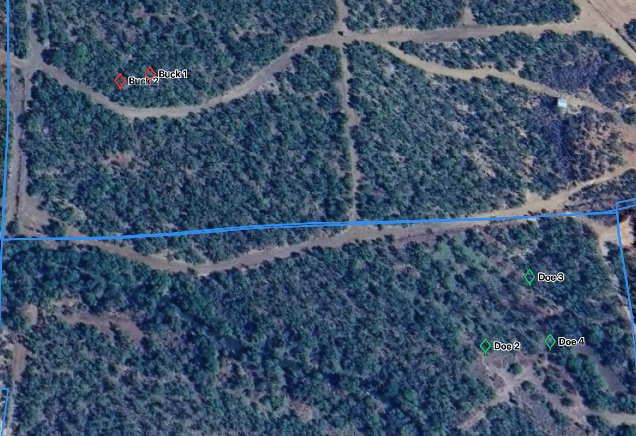 Aerial view of a forest with dirt roads and marked points labeled Buck 1 and Buck 2.