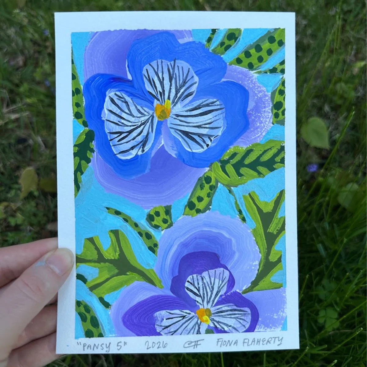 _0004_Pansy 5.jpg