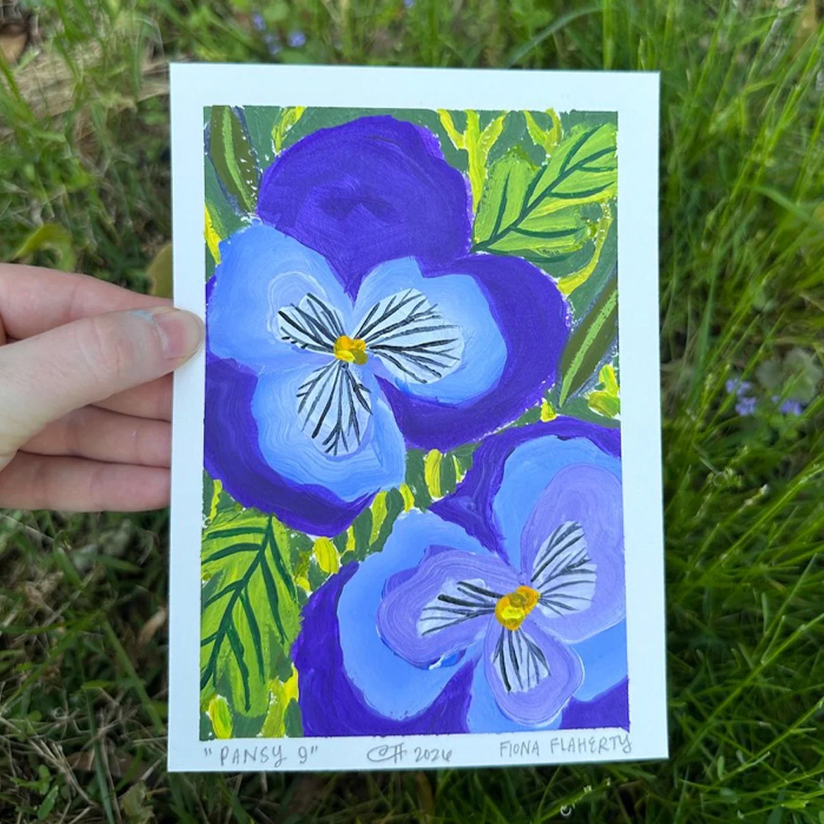 _0008_Pansy 9.jpg