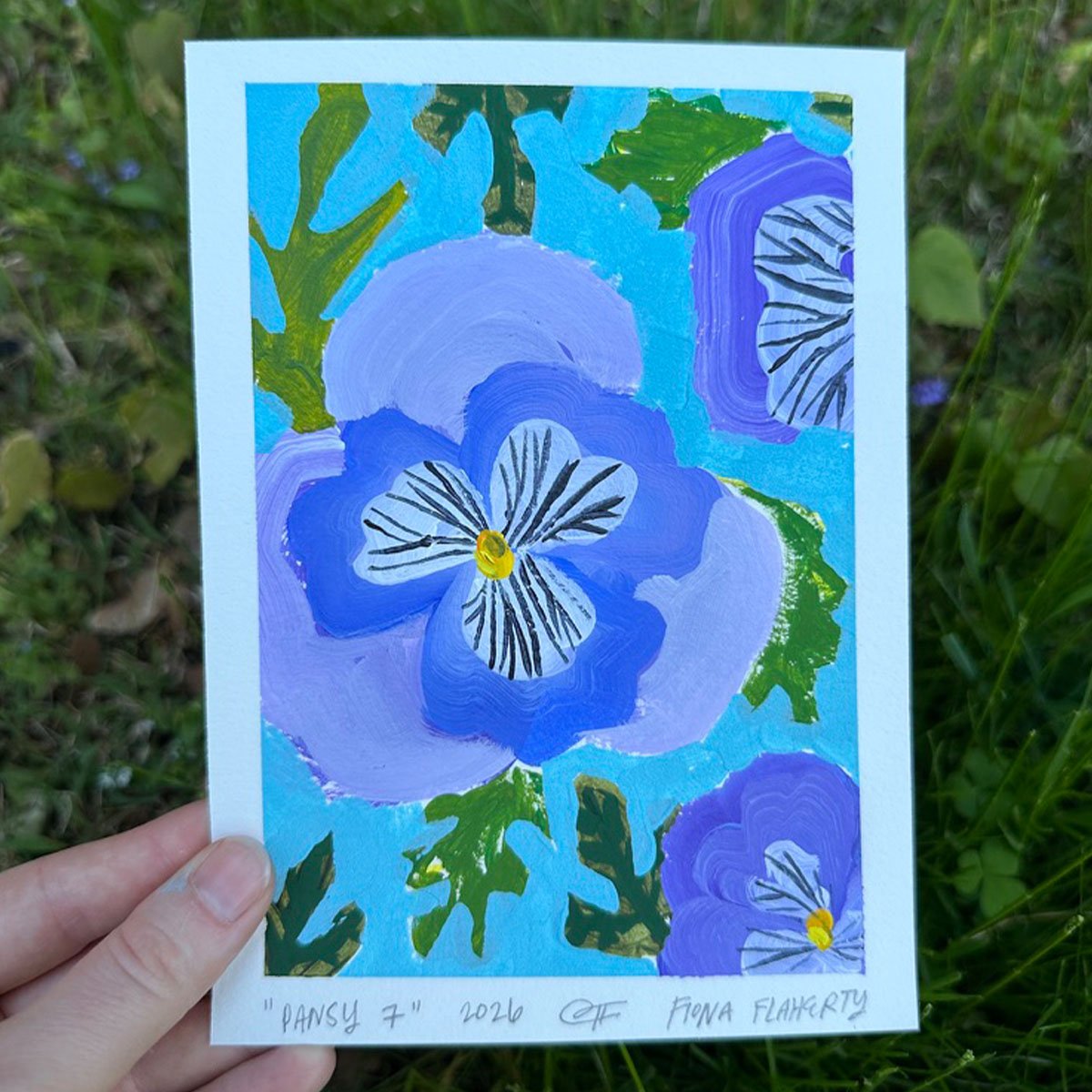 _0006_Pansy 7.jpg
