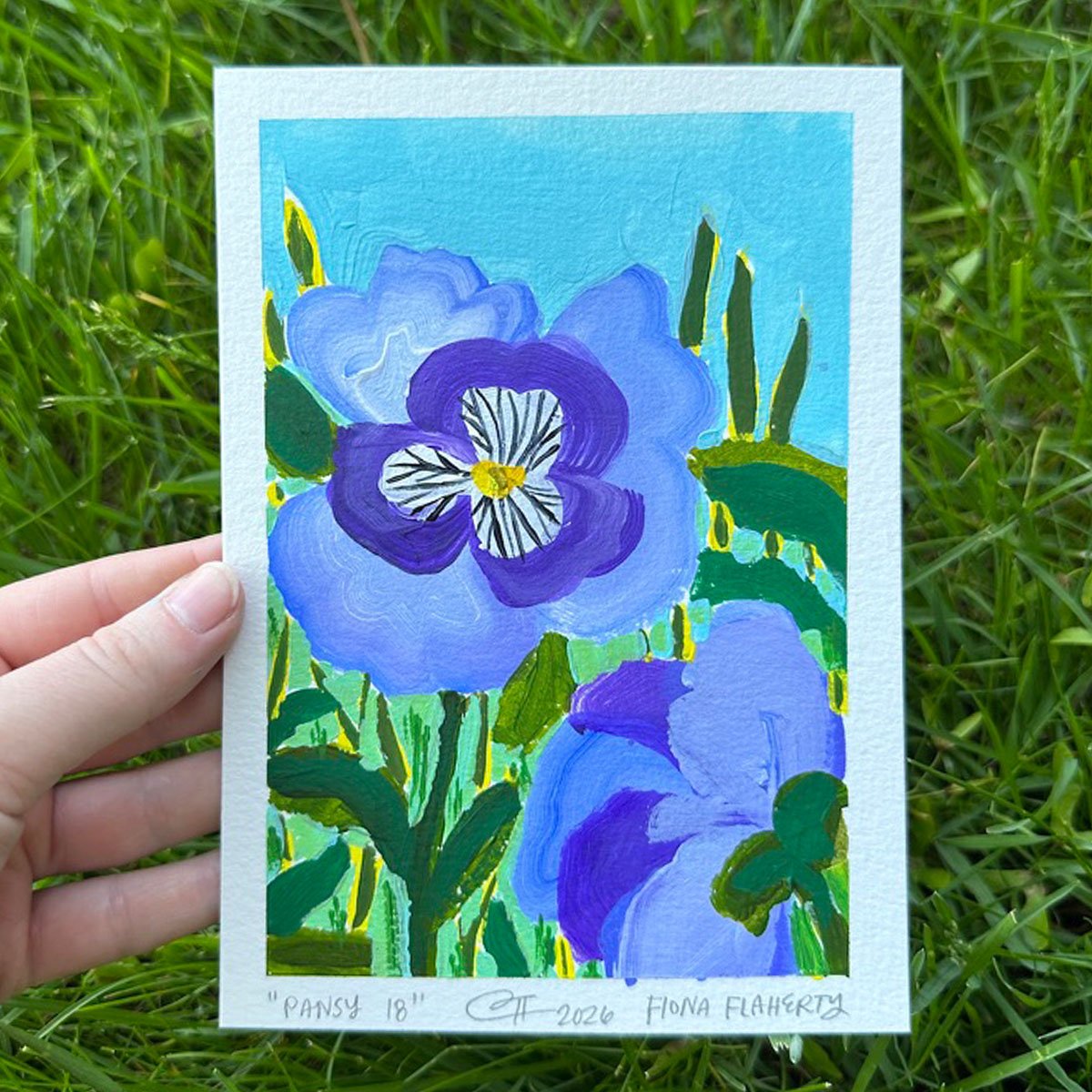 _0017_Pansy 18.jpg