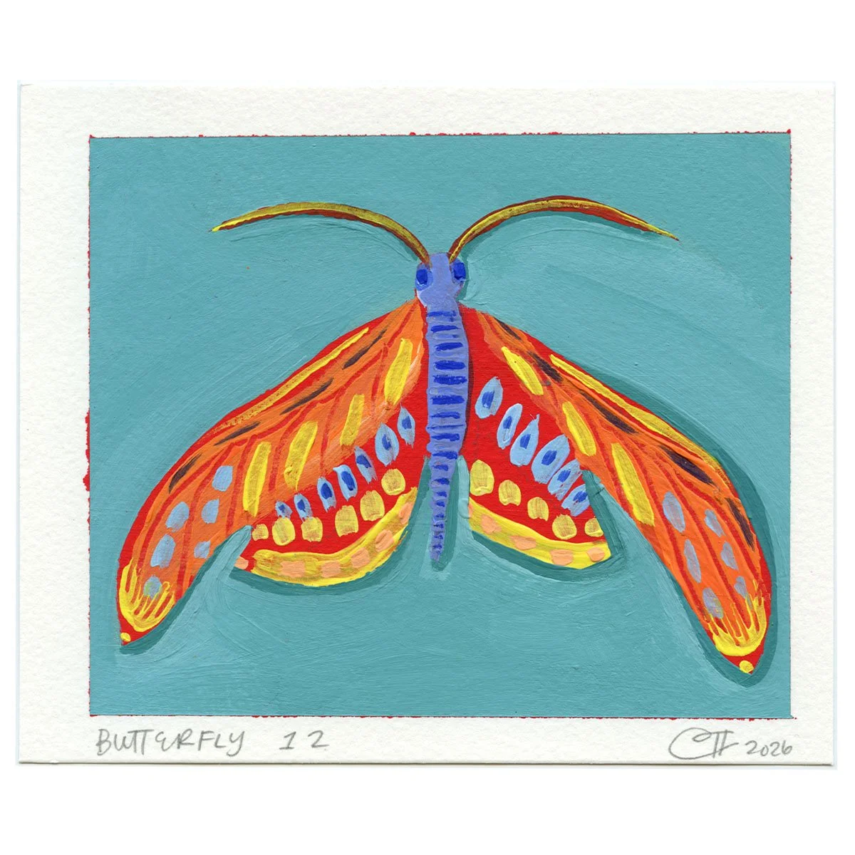Web Square Butterfly_0011_Butterfly 12.jpg