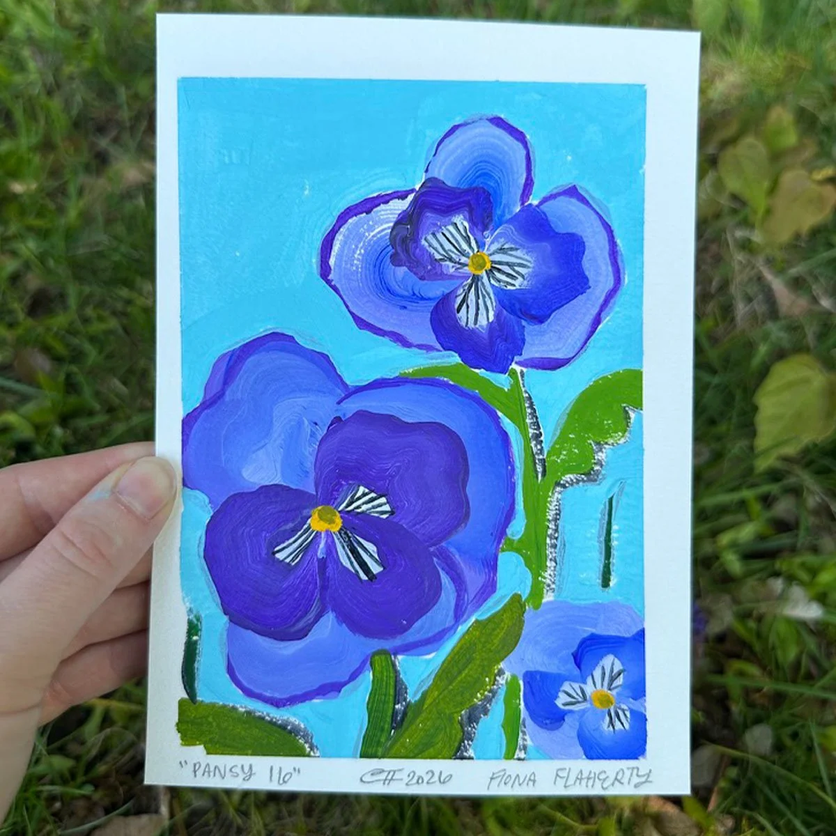 _0015_Pansy 16.jpg