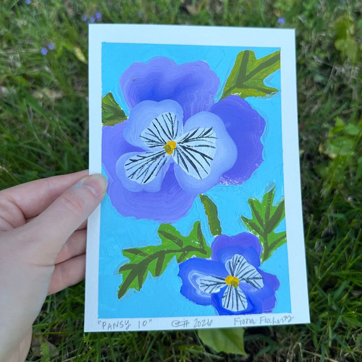 _0009_Pansy 10.jpg