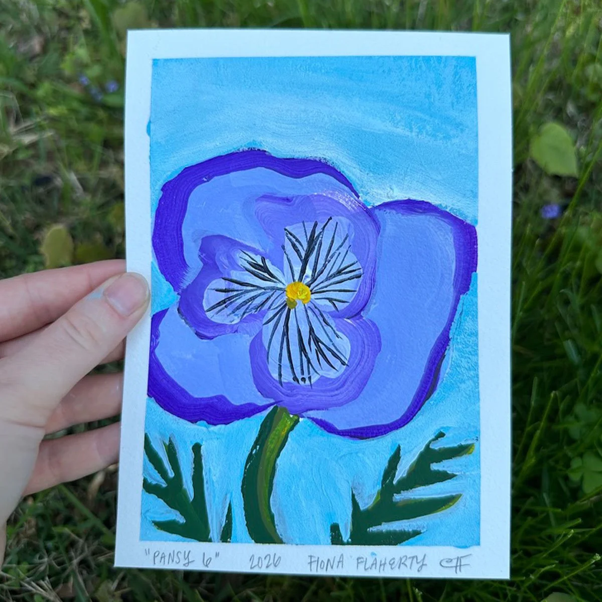 _0005_Pansy 6.jpg