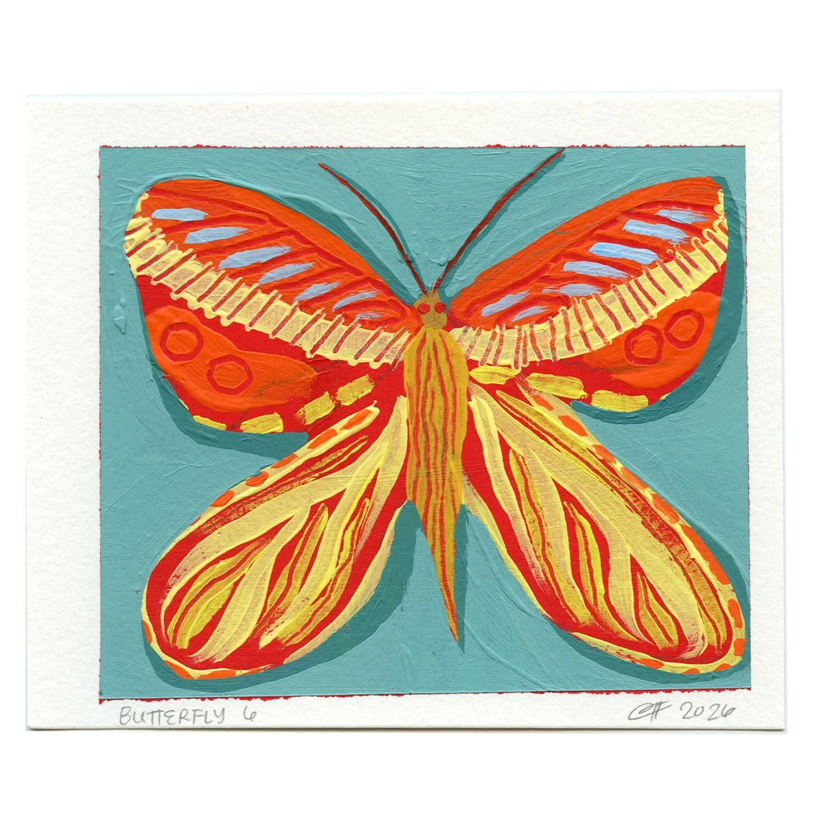 Web Square Butterfly_0005_Butterfly 6.jpg