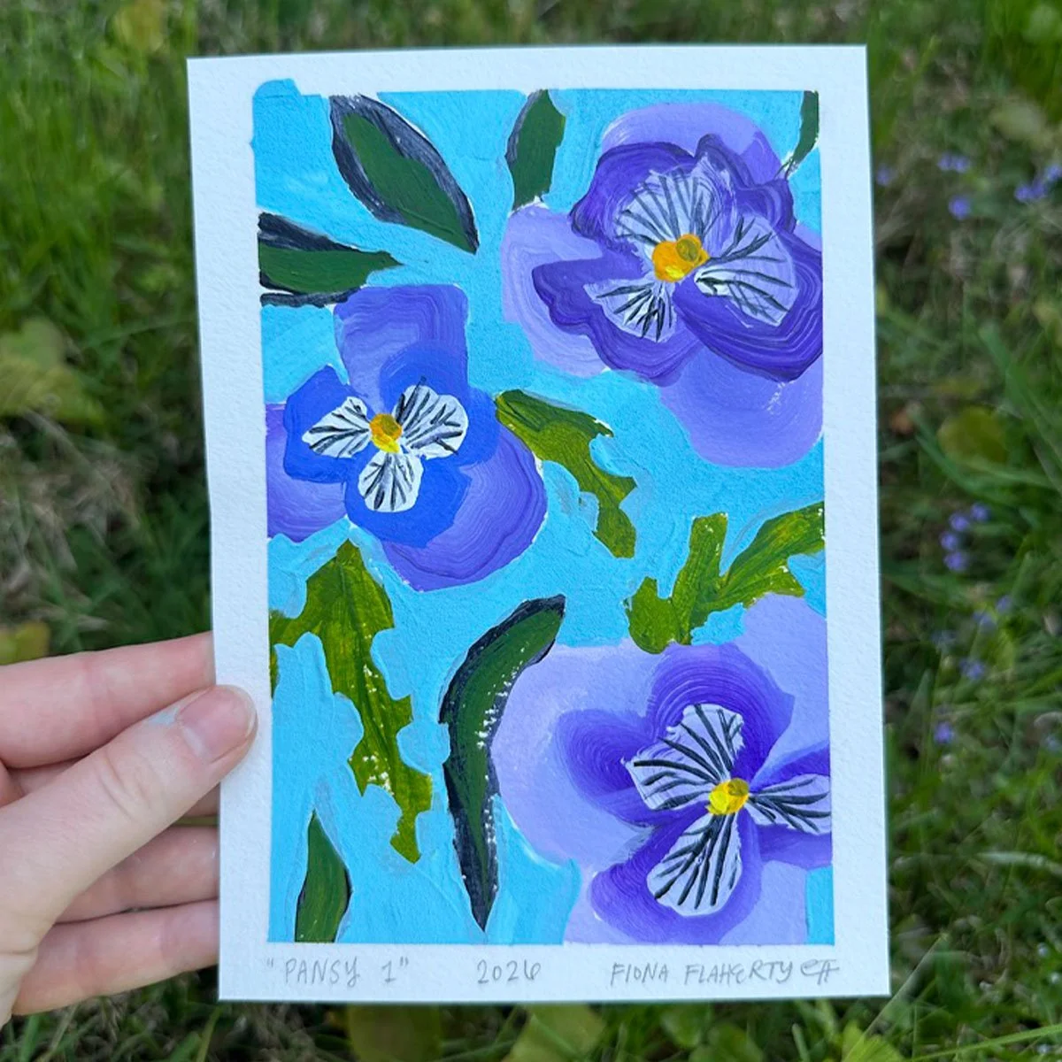_0000_Pansy 1.jpg