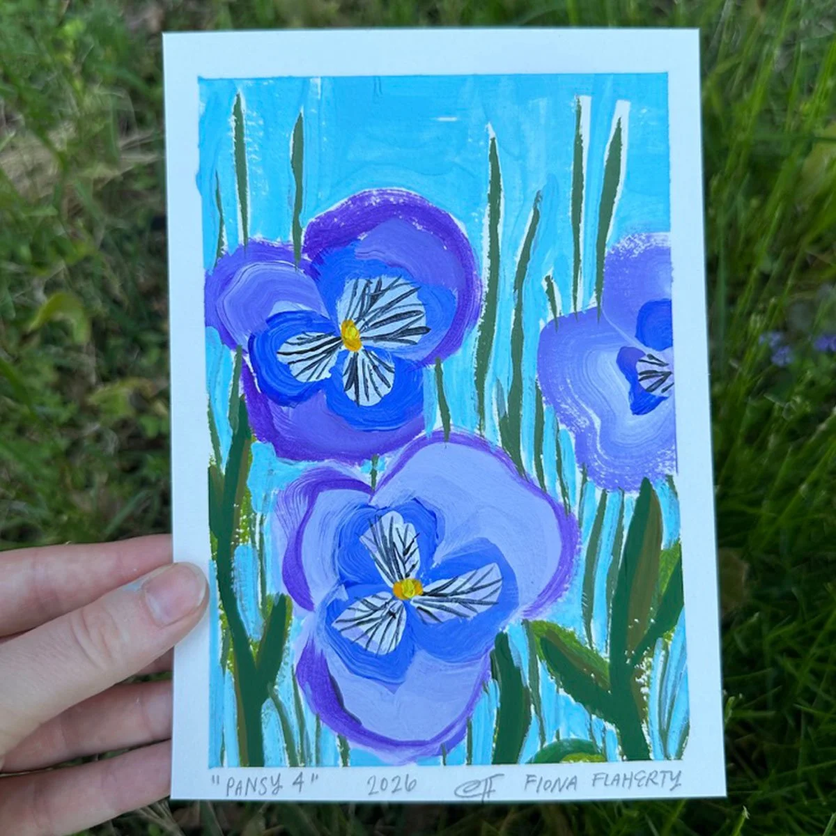 _0003_Pansy 4.jpg
