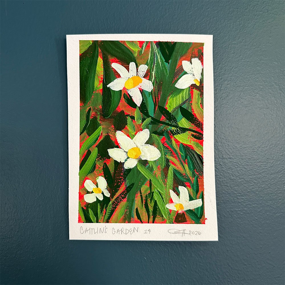 web-photos-caitlins-garden-14a-Fiona-Flaherty.jpg