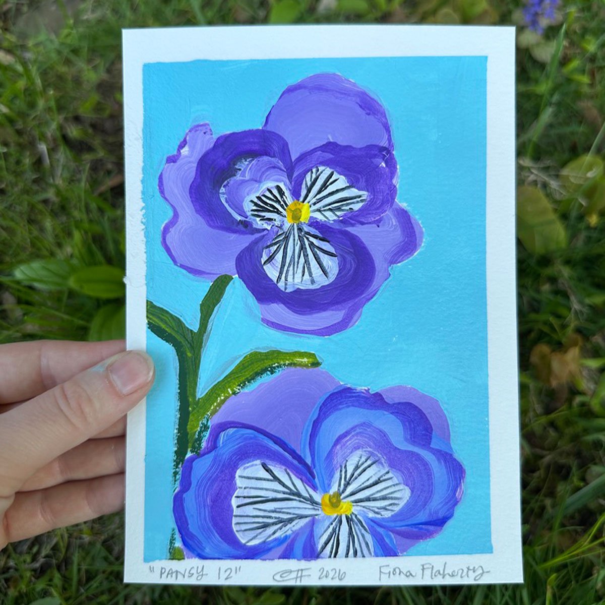 _0011_Pansy 12.jpg