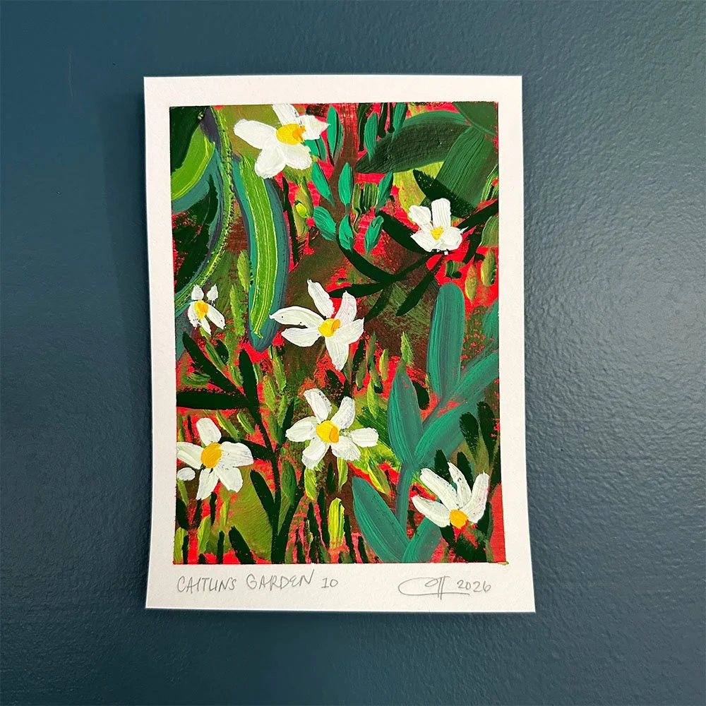 web-photos-caitlins-garden-10a-Fiona-Flaherty.jpg