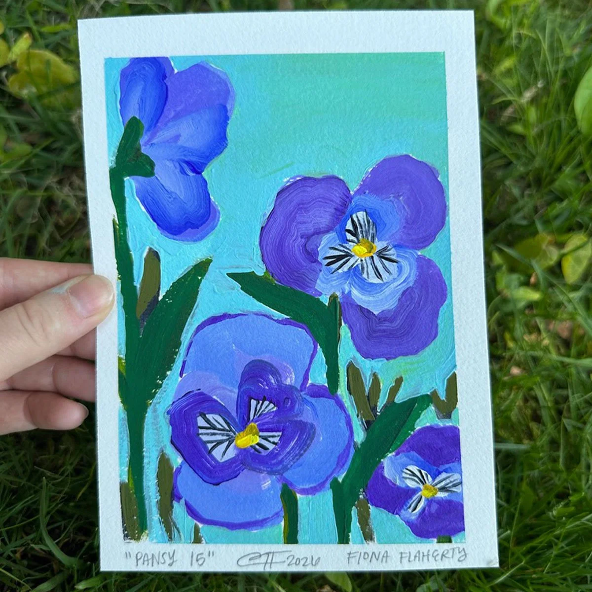 _0014_Pansy 15.jpg