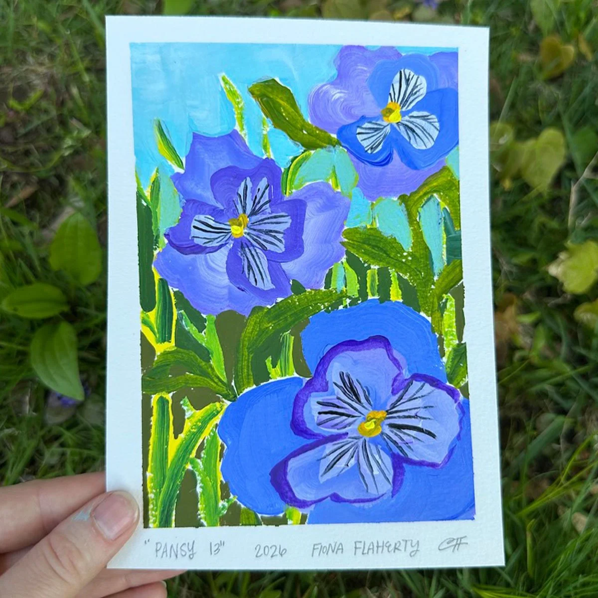 _0012_Pansy 13.jpg