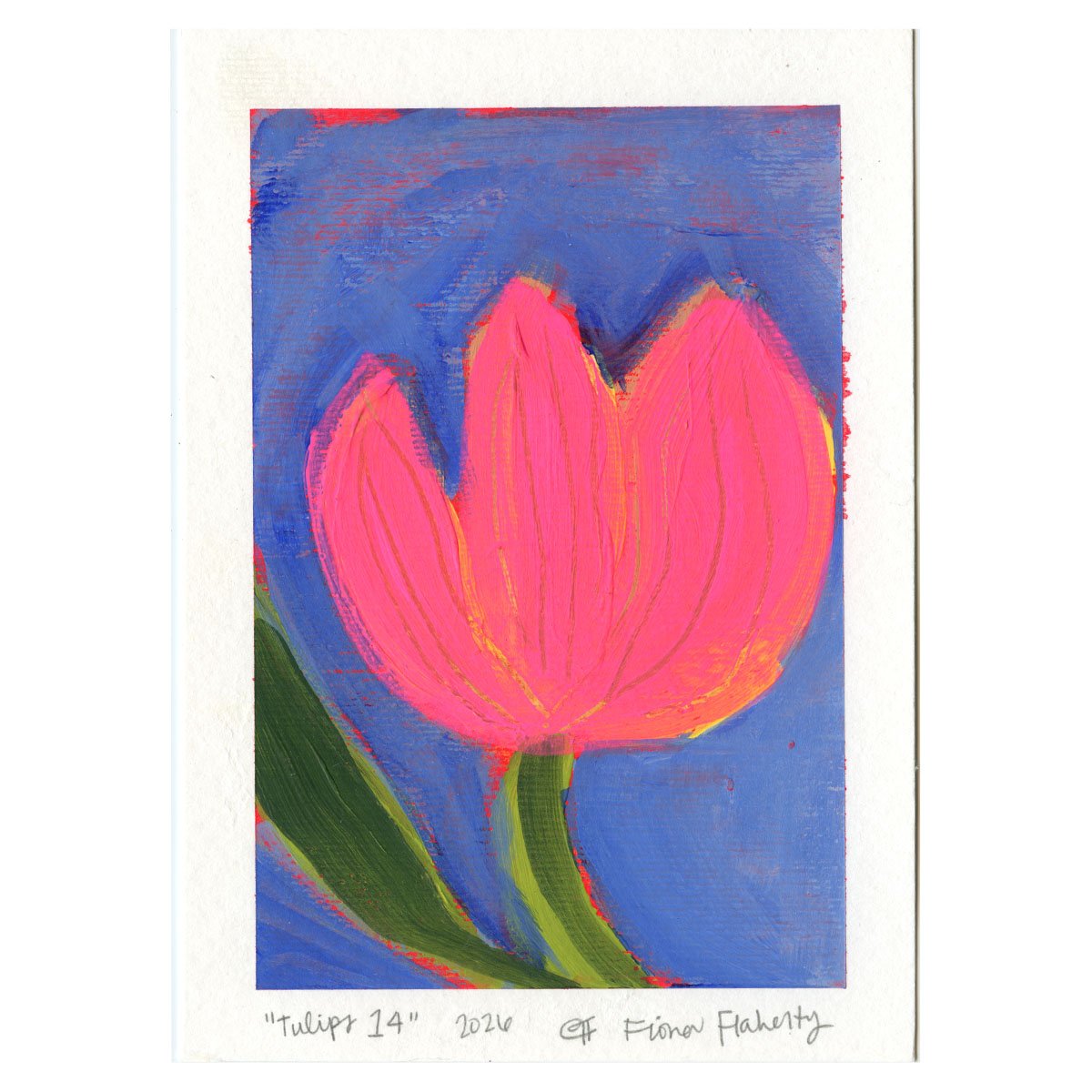 Tulips #14