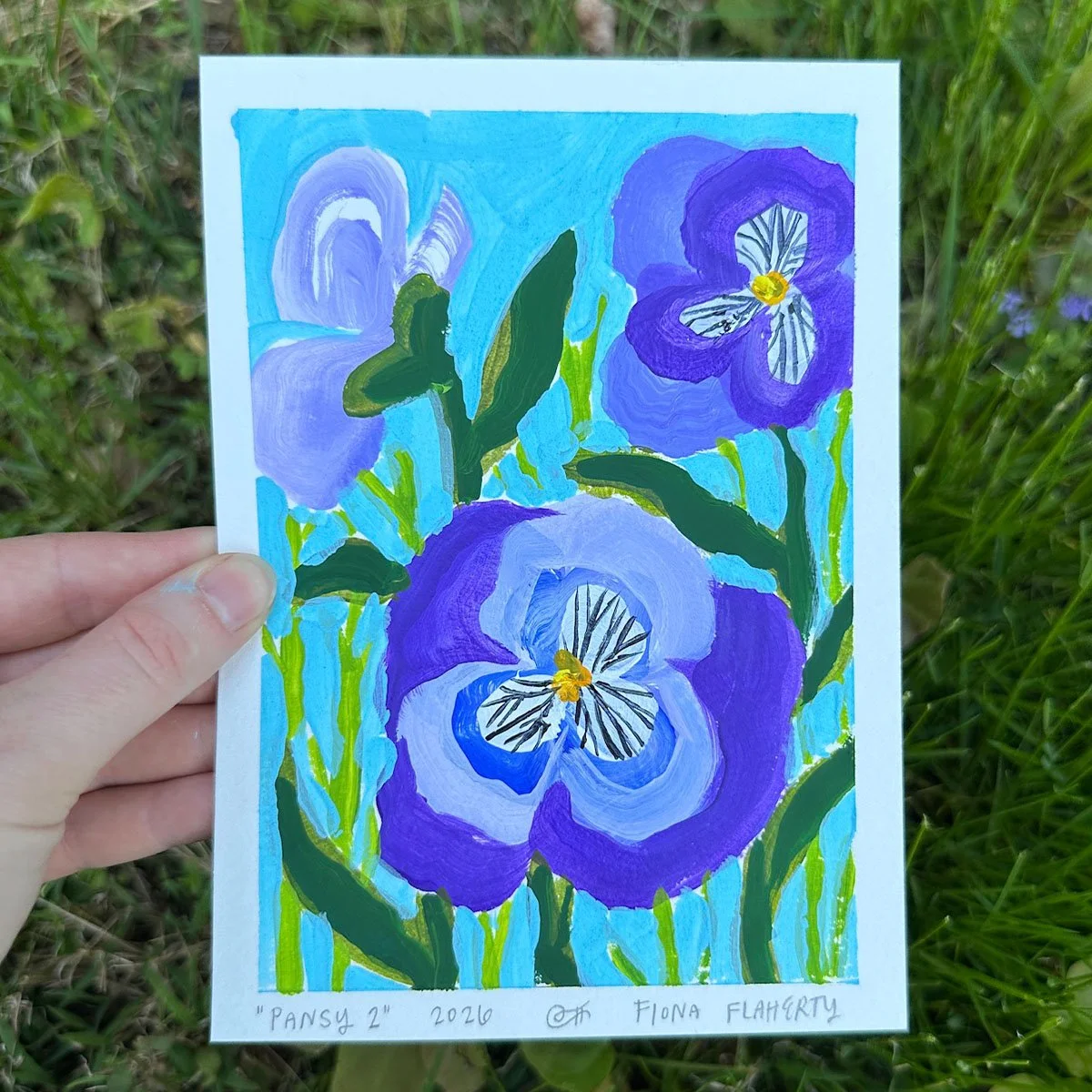 _0001_Pansy 2.jpg