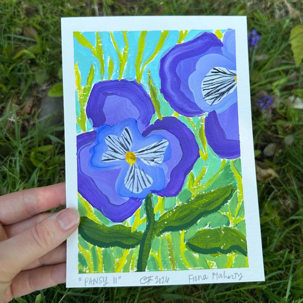 _0010_Pansy 11.jpg