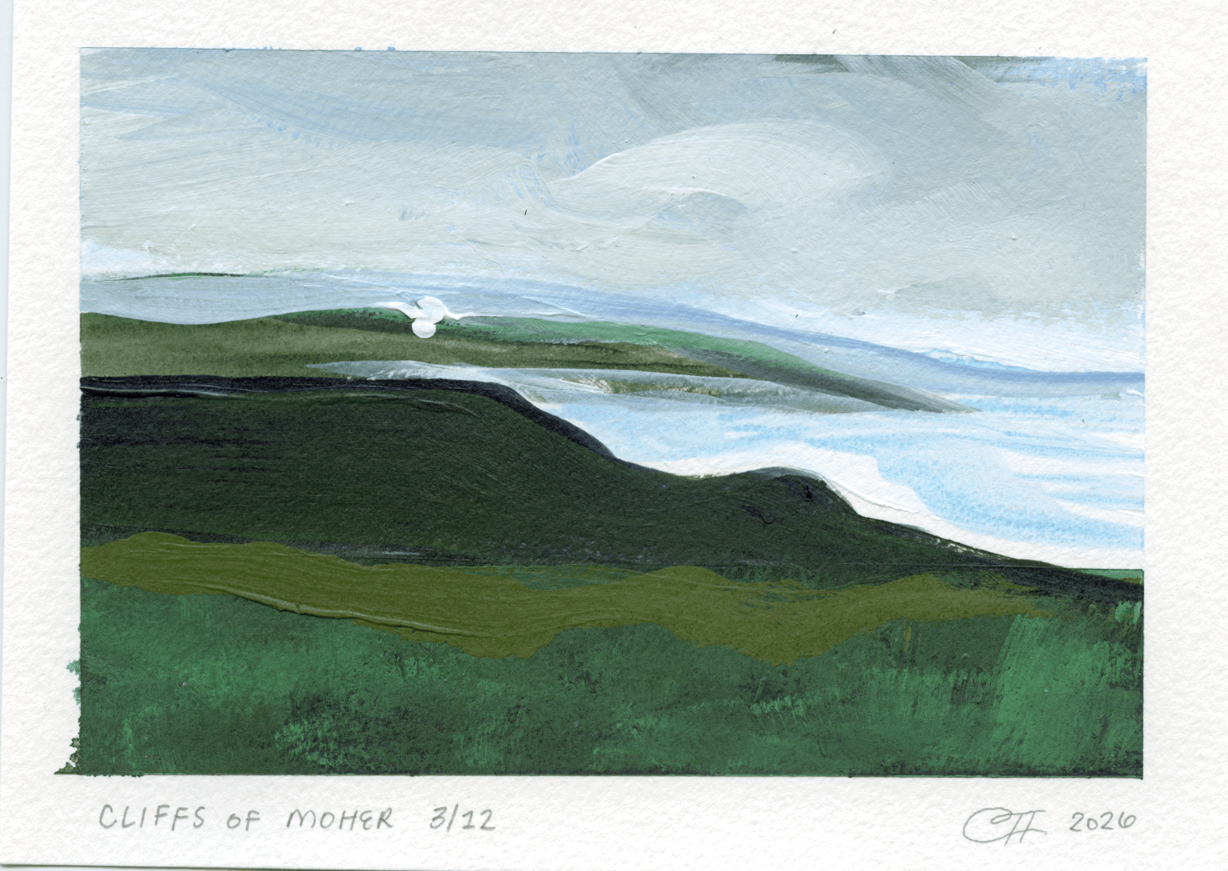Cliffs of Moher #2