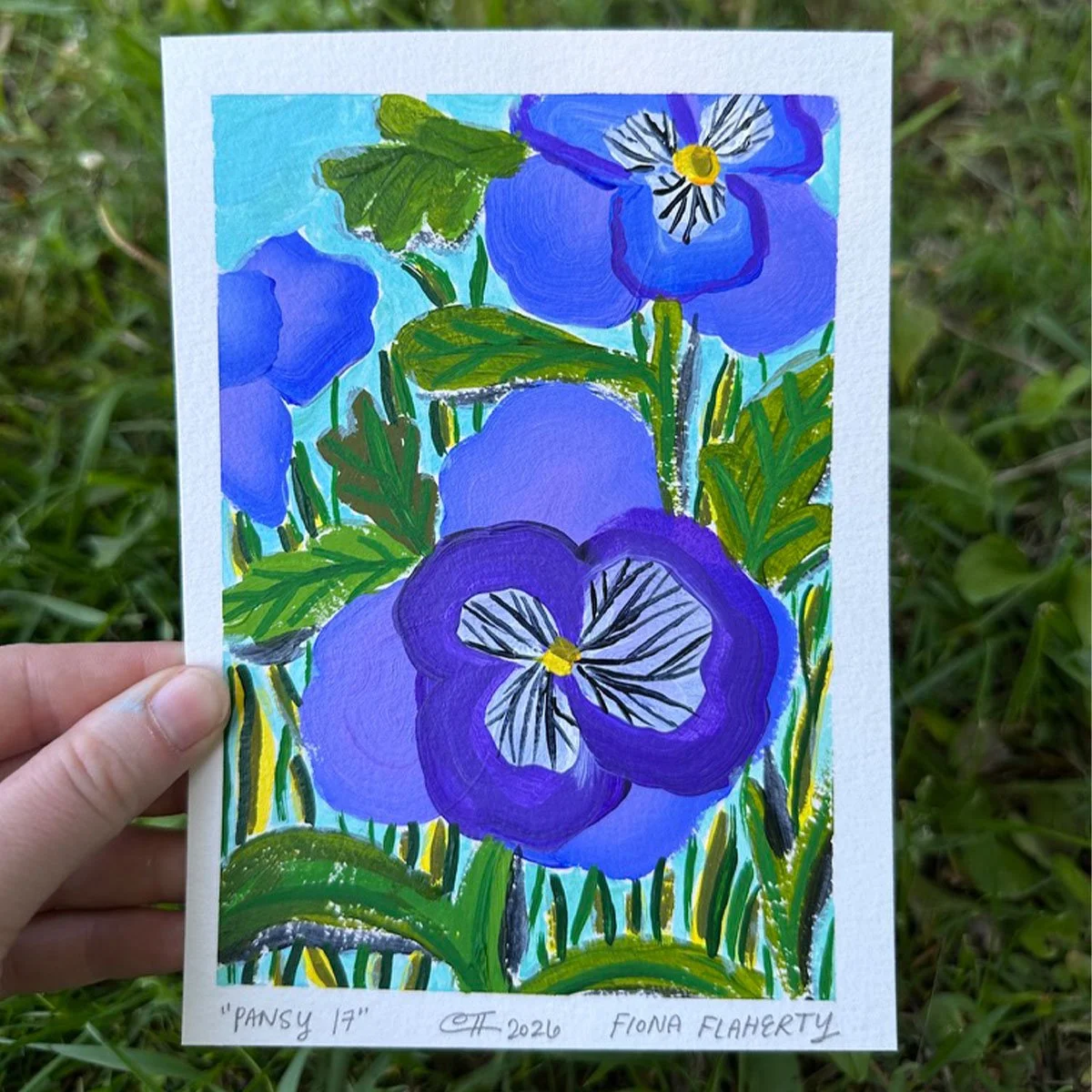 _0016_Pansy 17.jpg