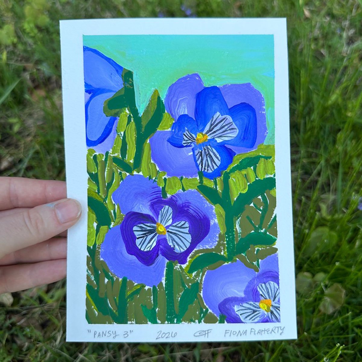 _0002_Pansy 3.jpg