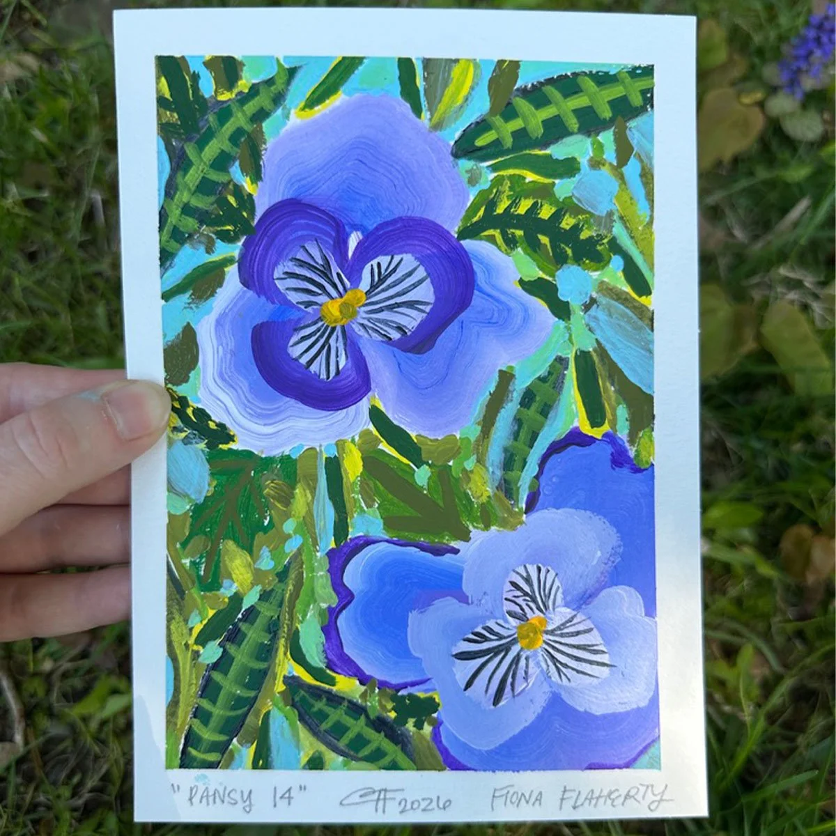 _0013_Pansy 14.jpg