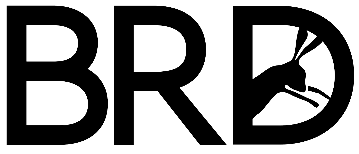 BLACK RABBIT DESIGN