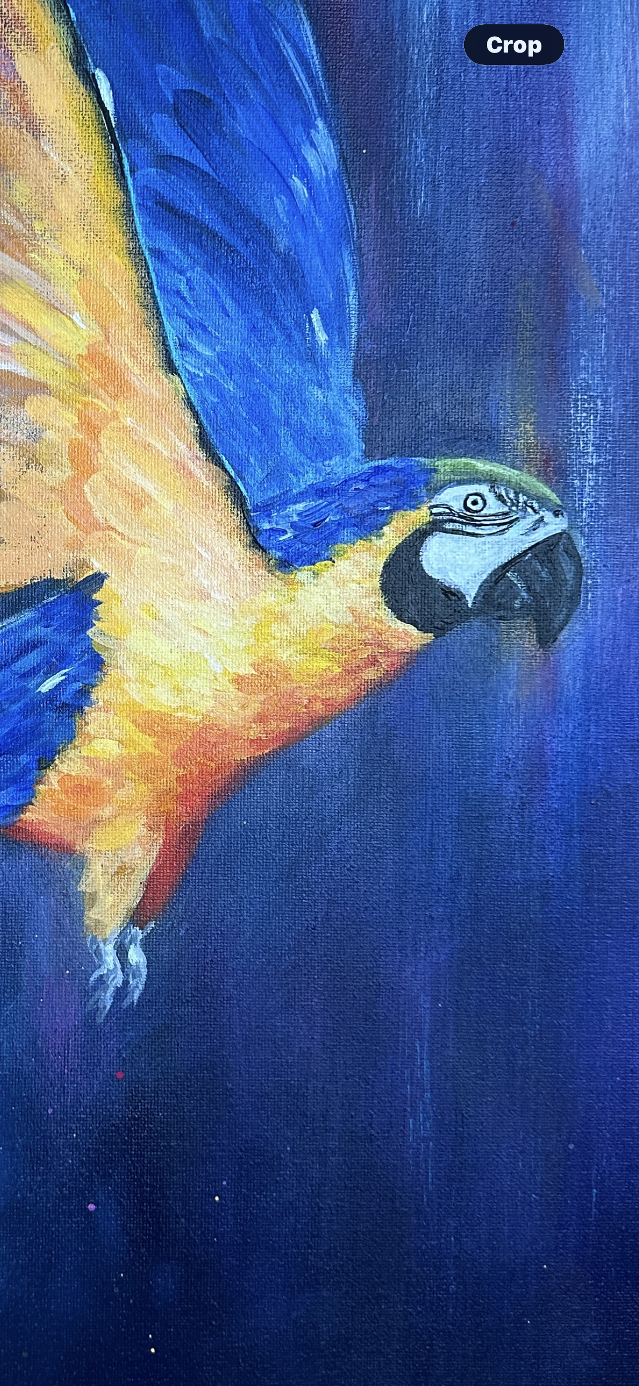 IMG_0388.png