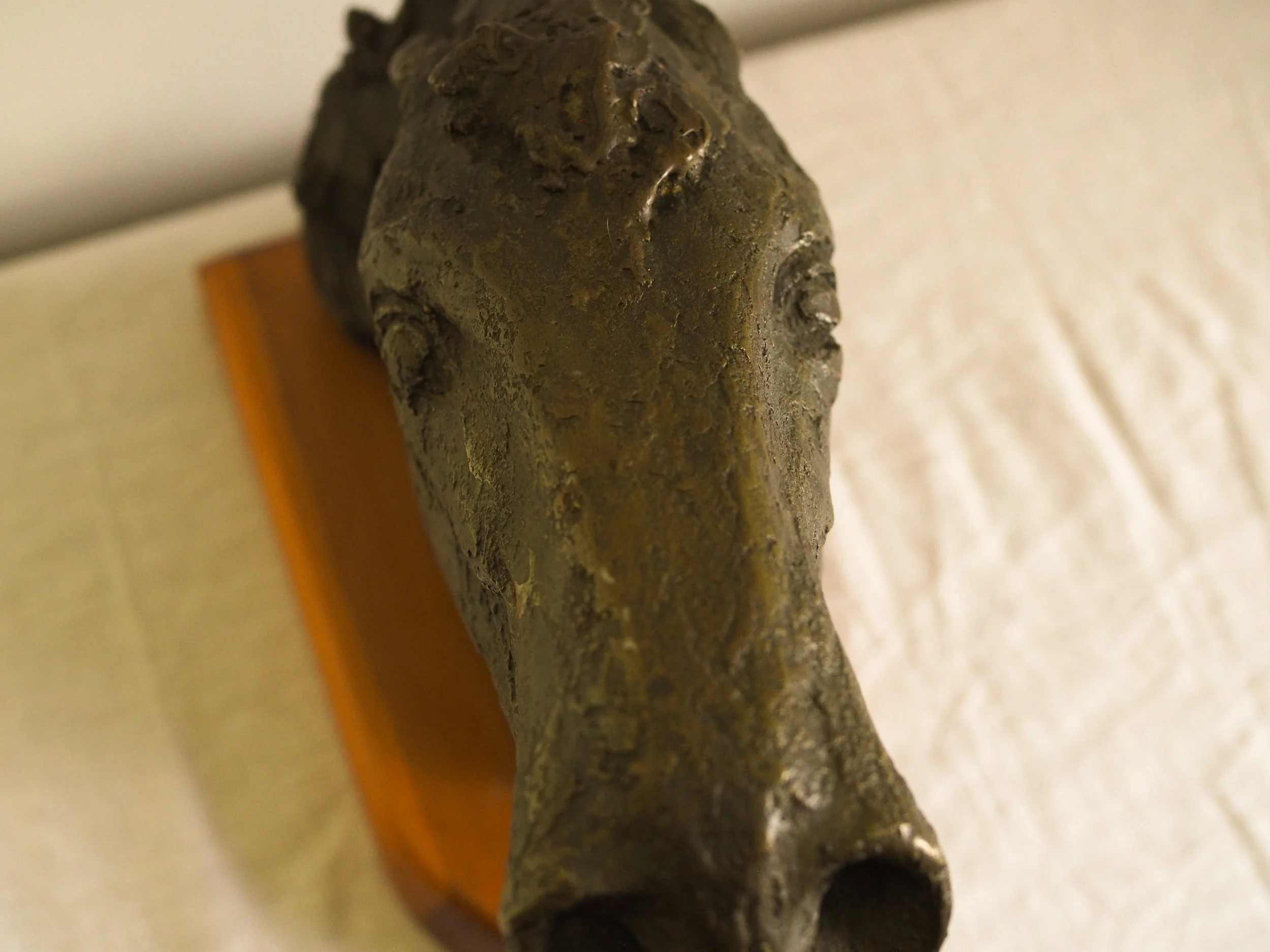 P5270650.jpg